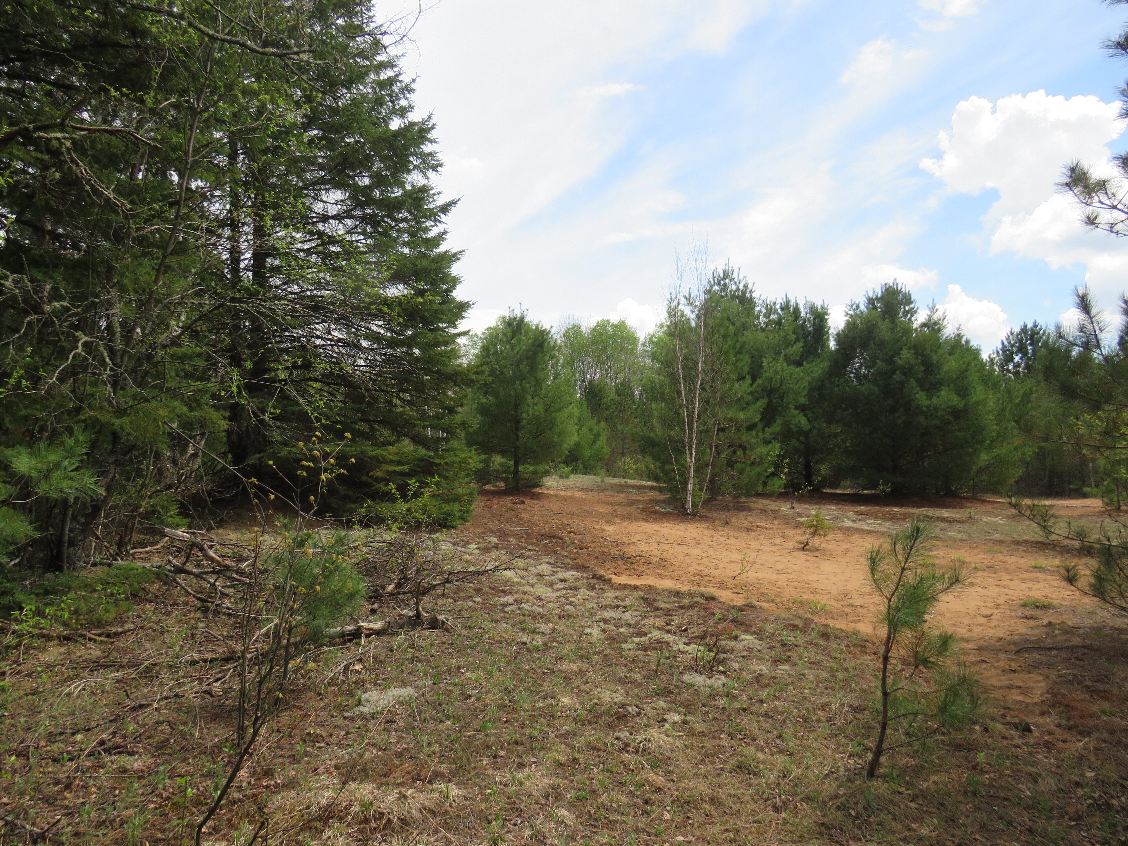 160 Acre Wilderness Retreat 50175391