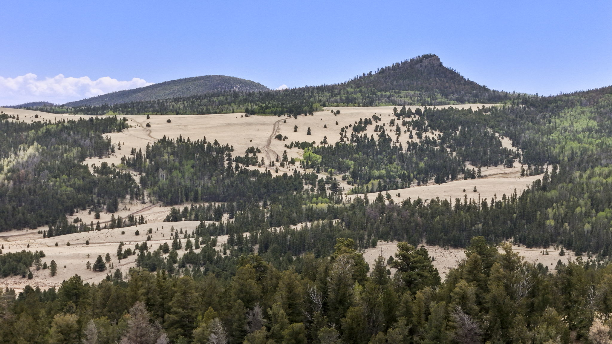 Listing Image 41