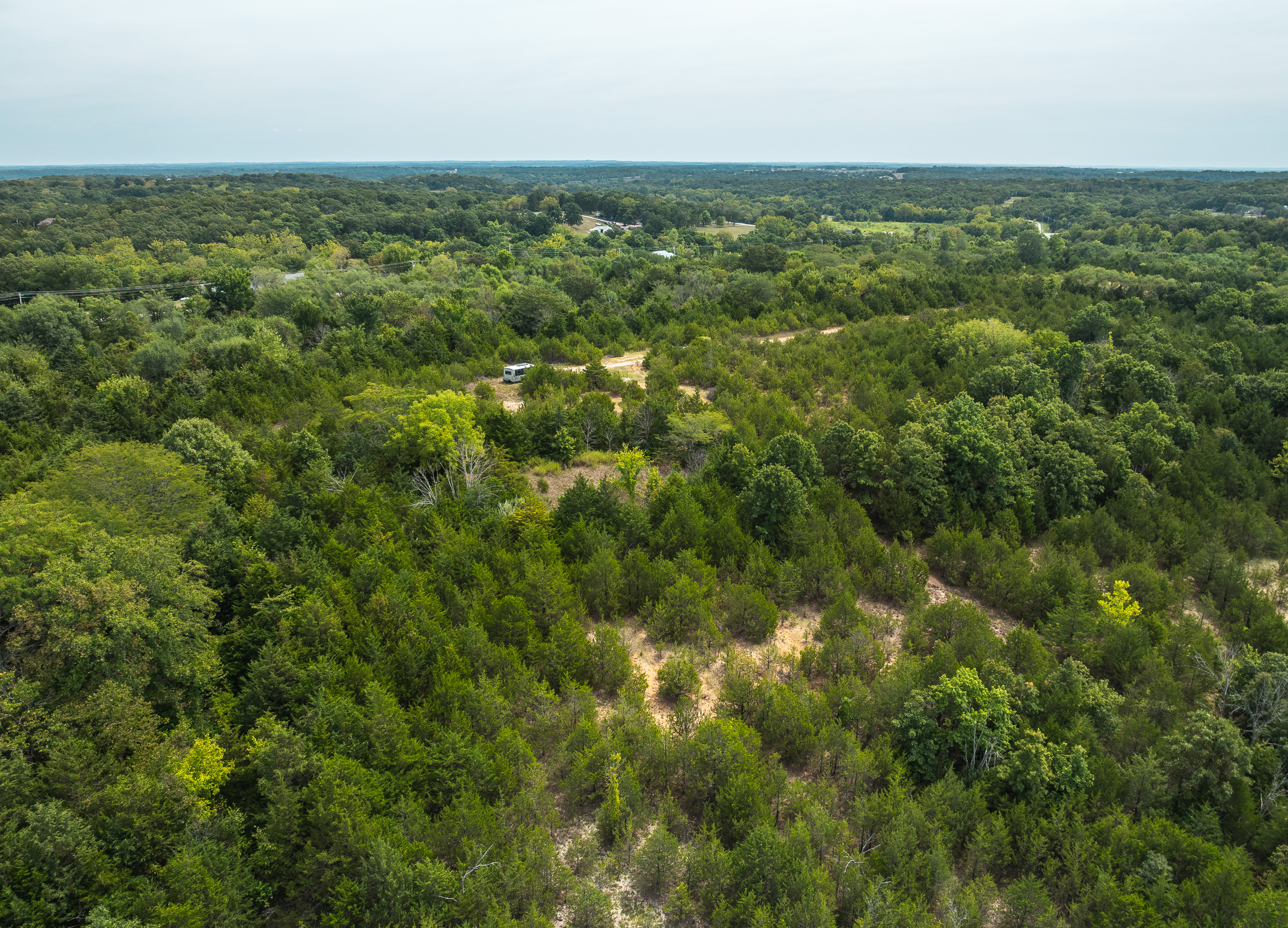 Hickory Hill Hollow