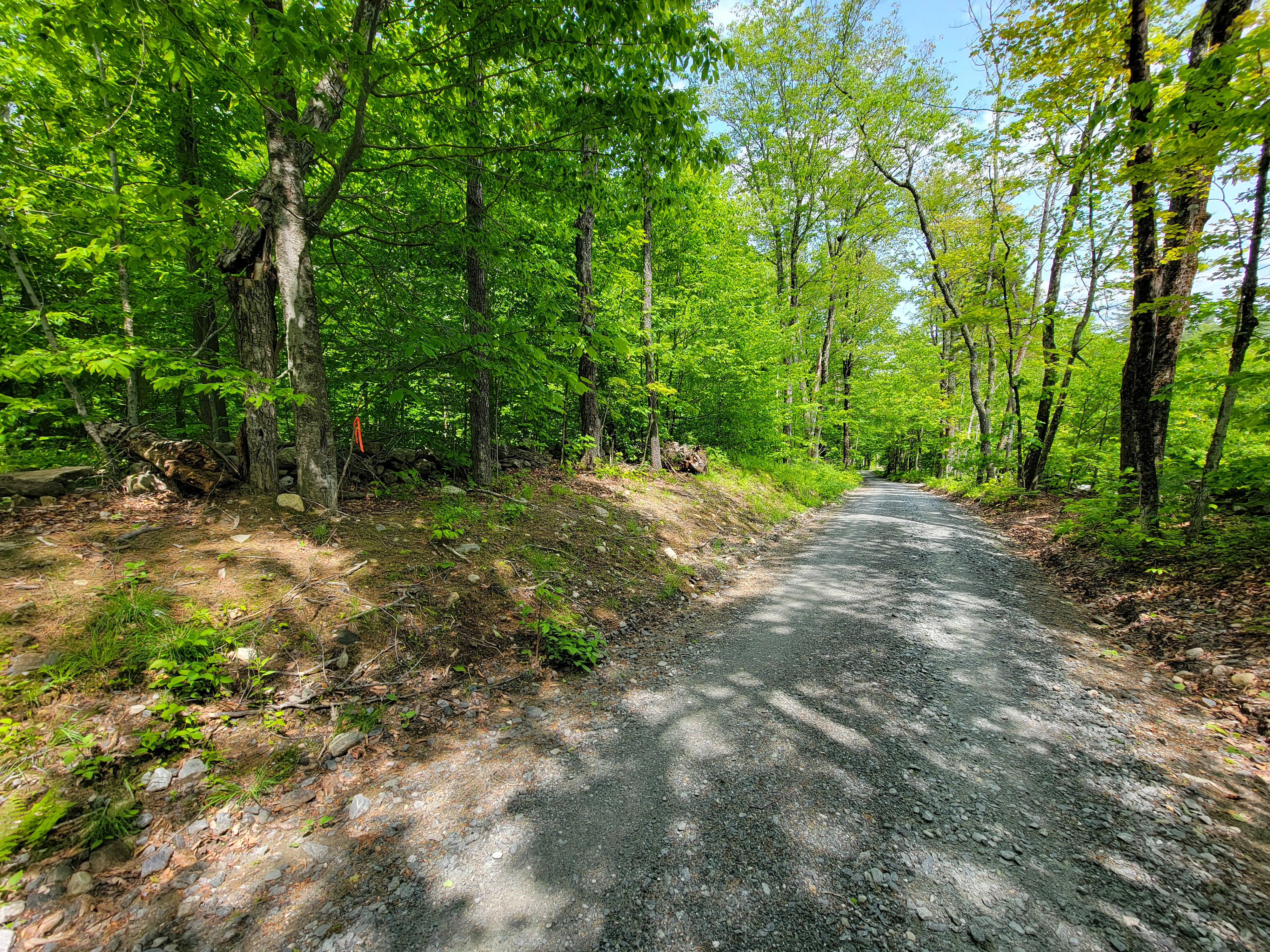 184 Schoolhouse Rd Jamaica