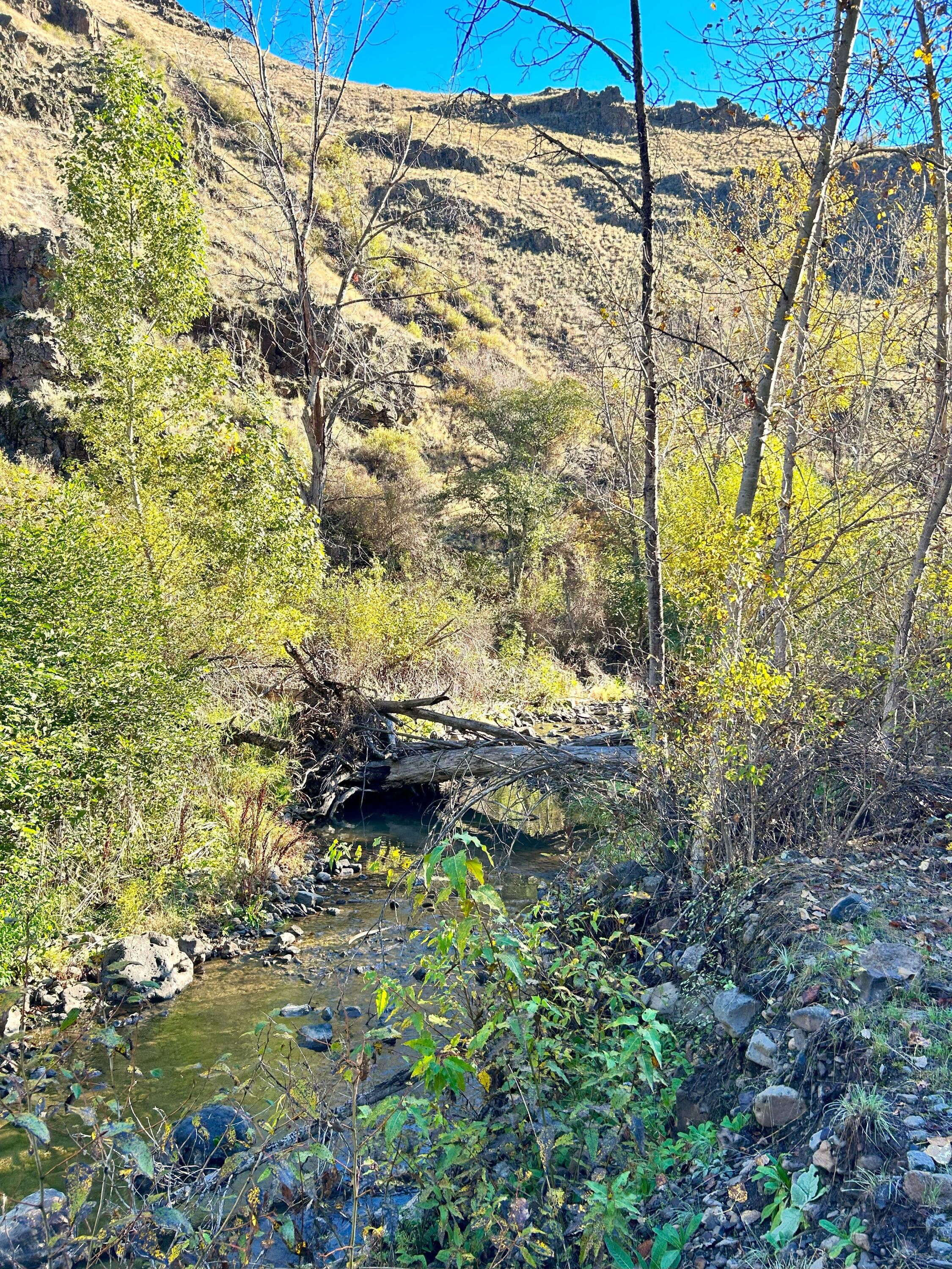 Listing Image 26