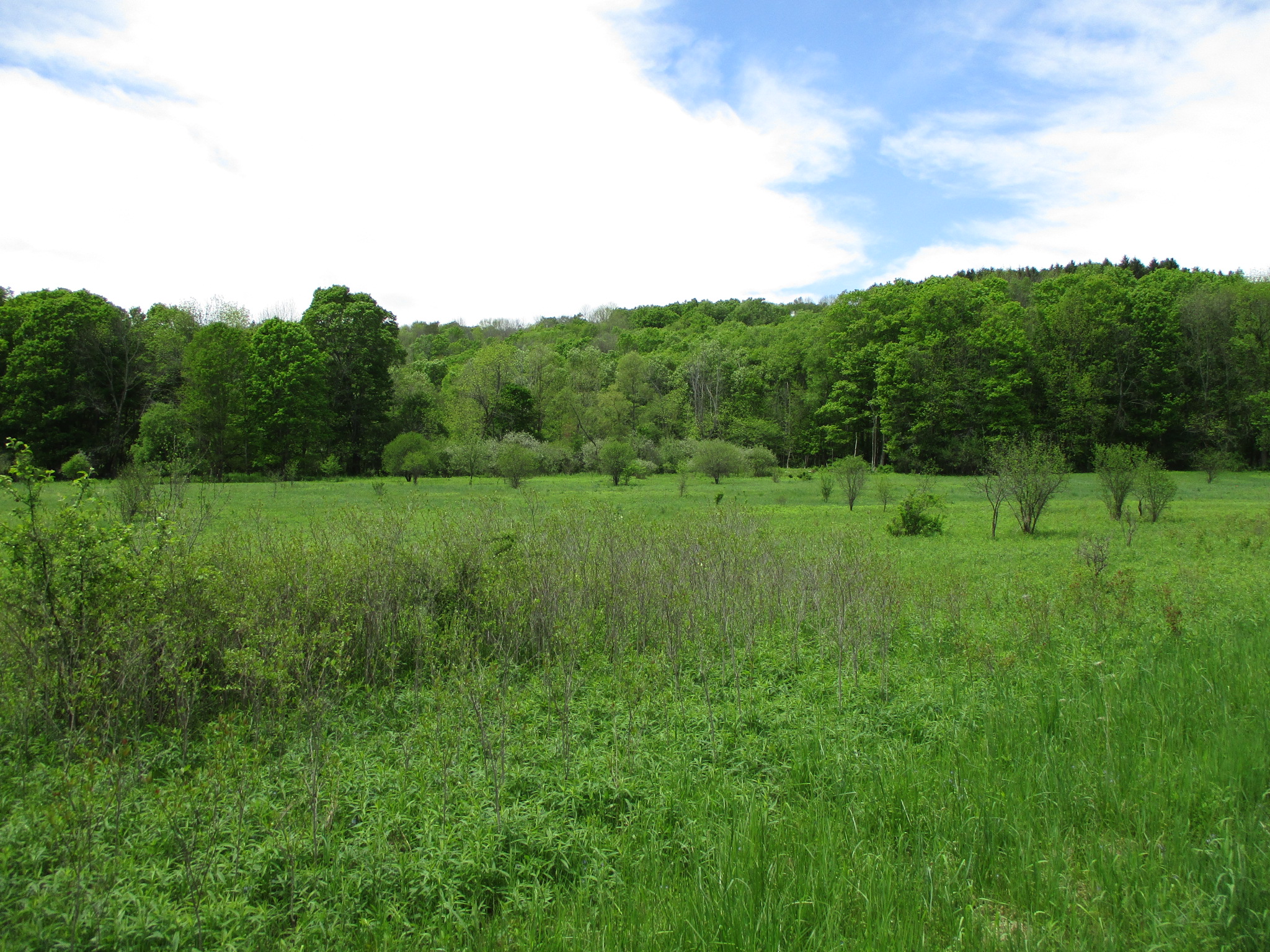 Legacy Land and Cabin