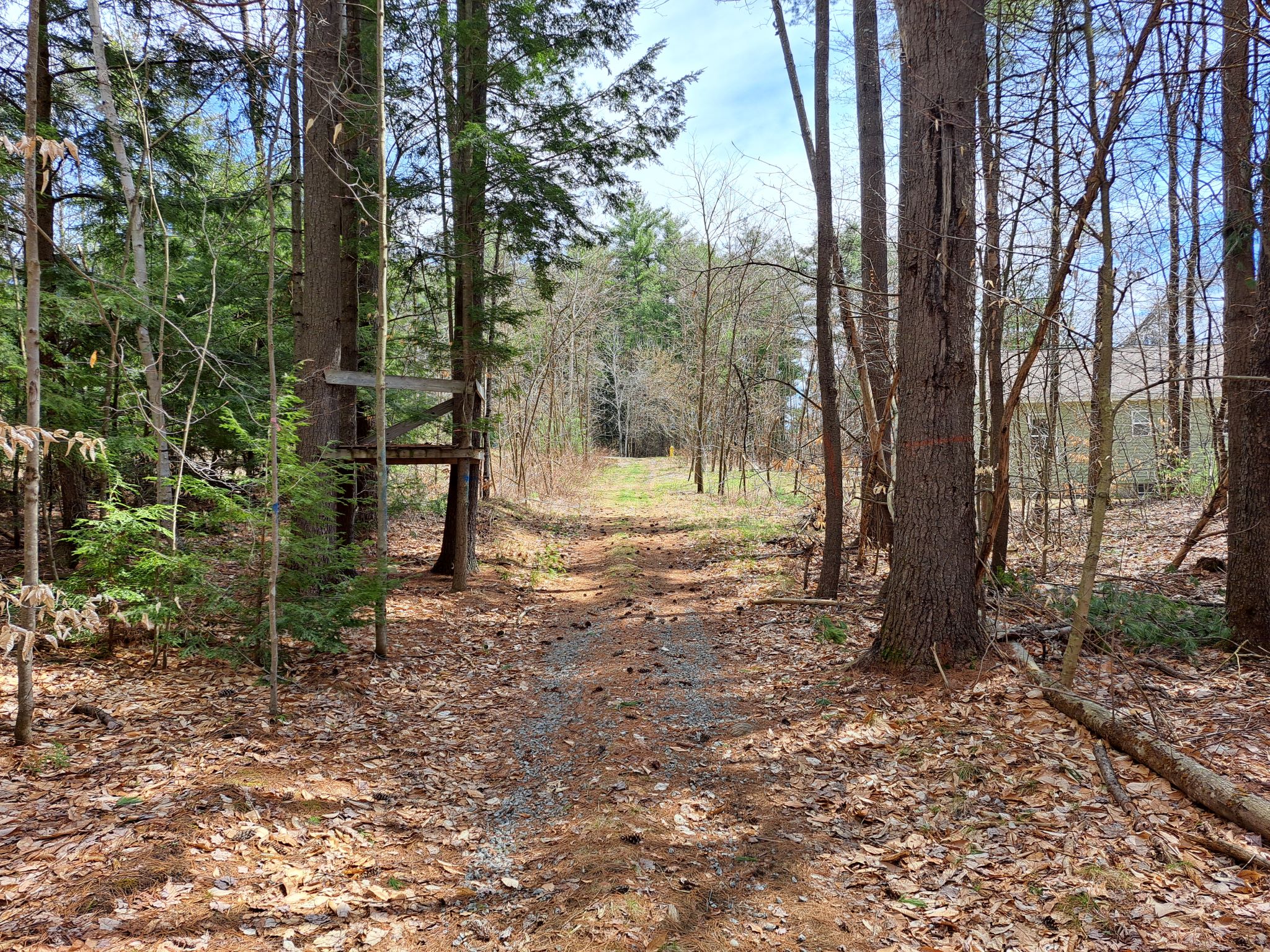 Listing Image 23
