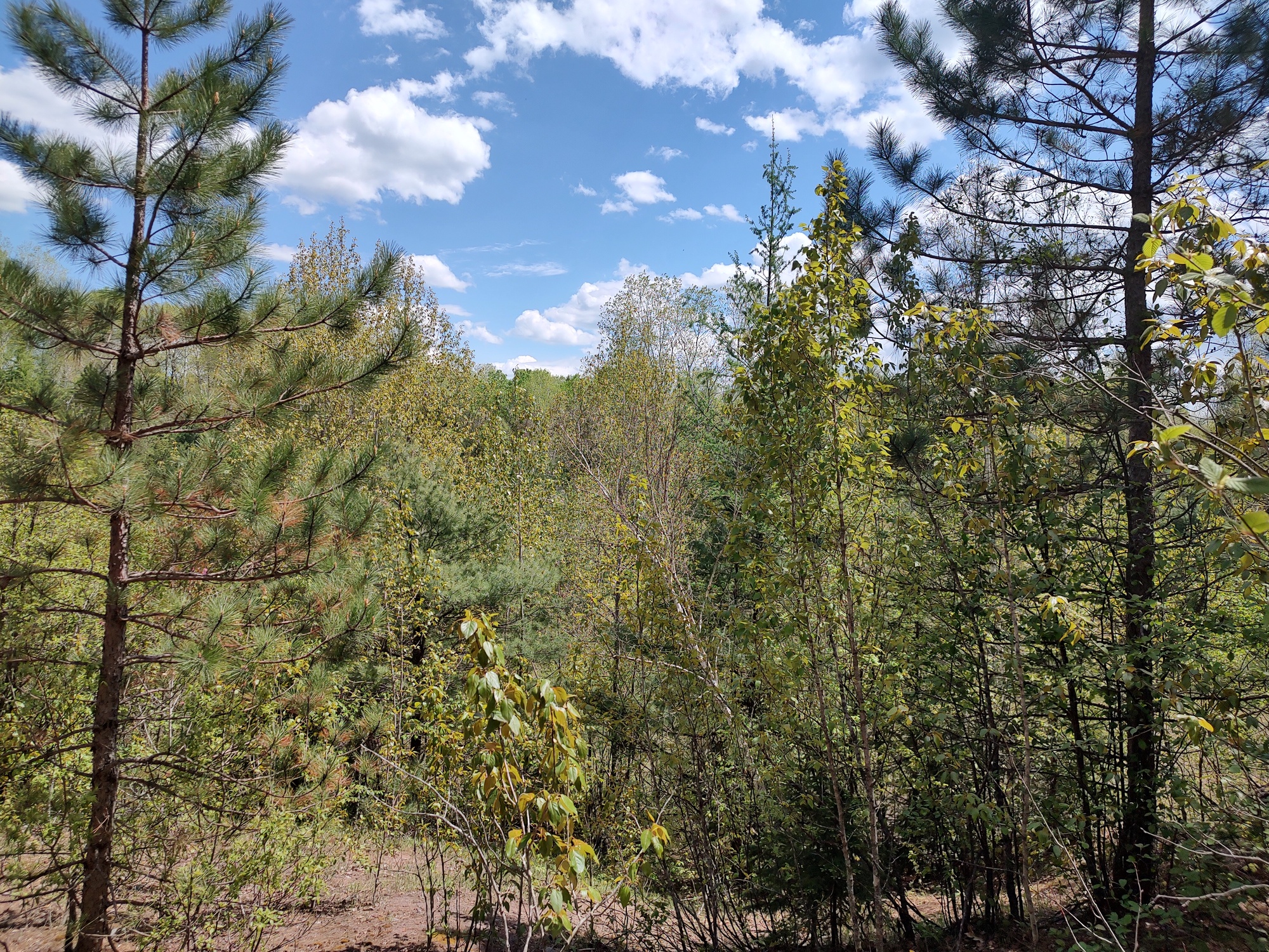 160 Acre Wilderness Retreat 50175391