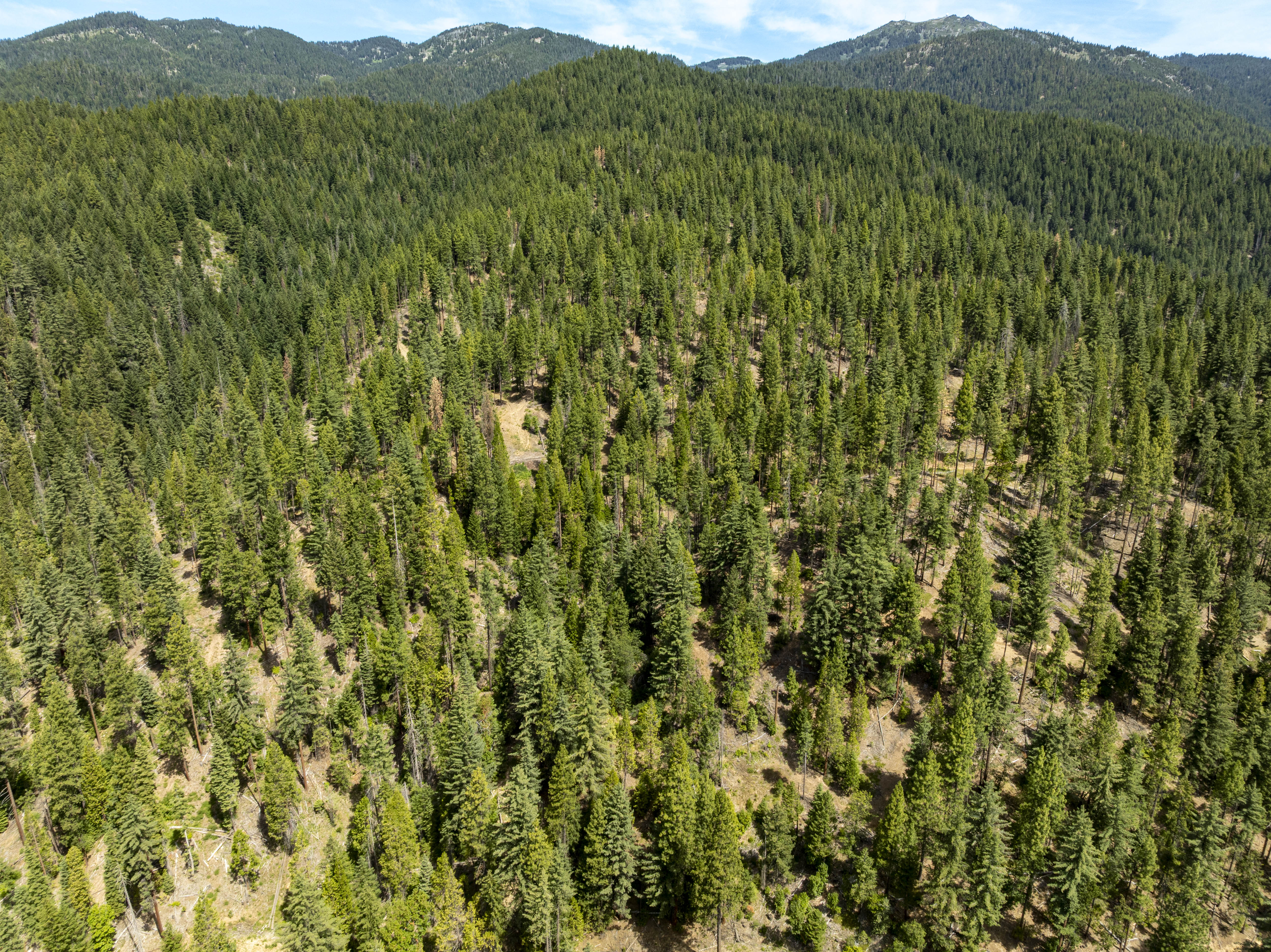 Listing Image 52