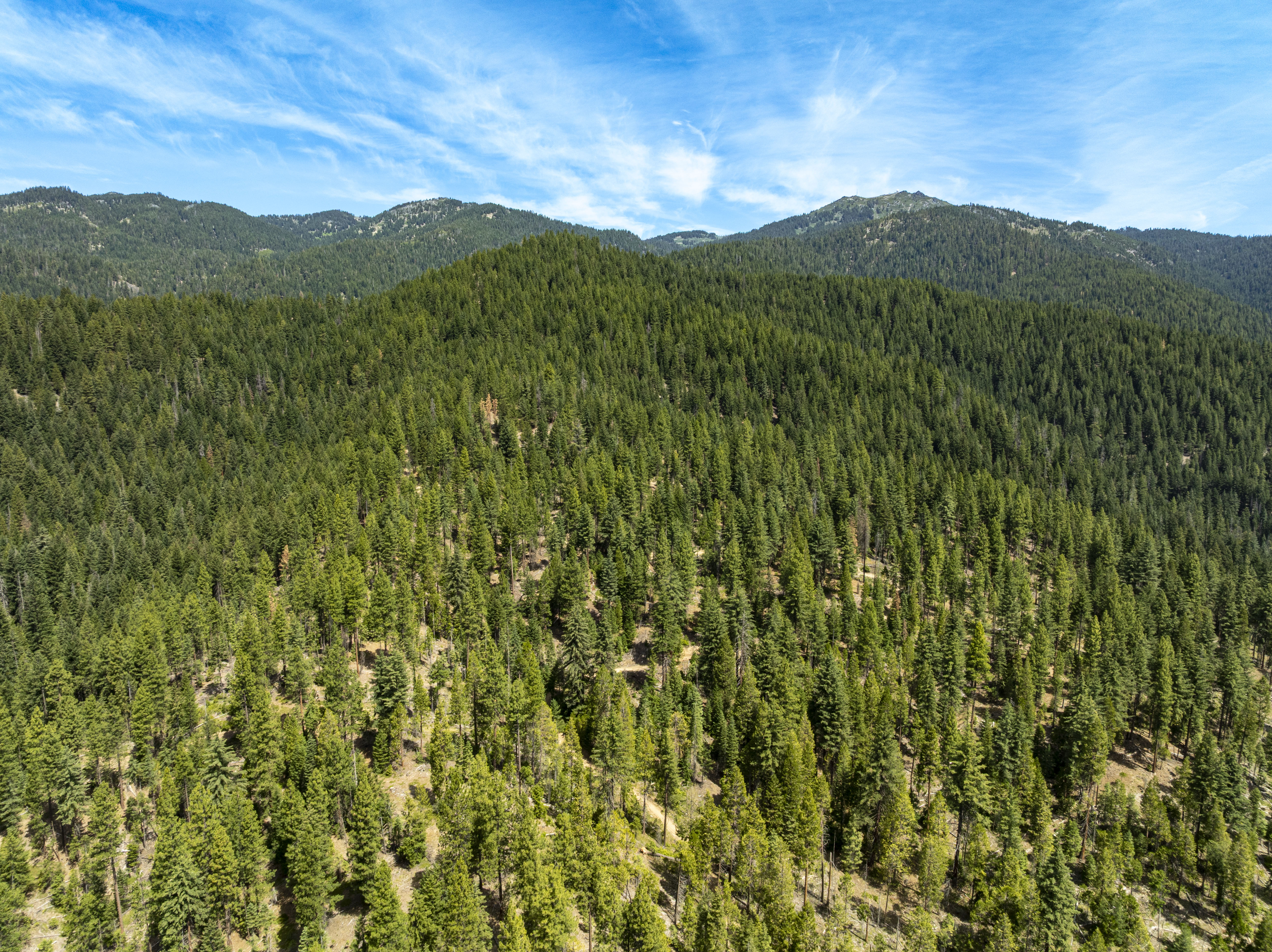 Listing Image 53