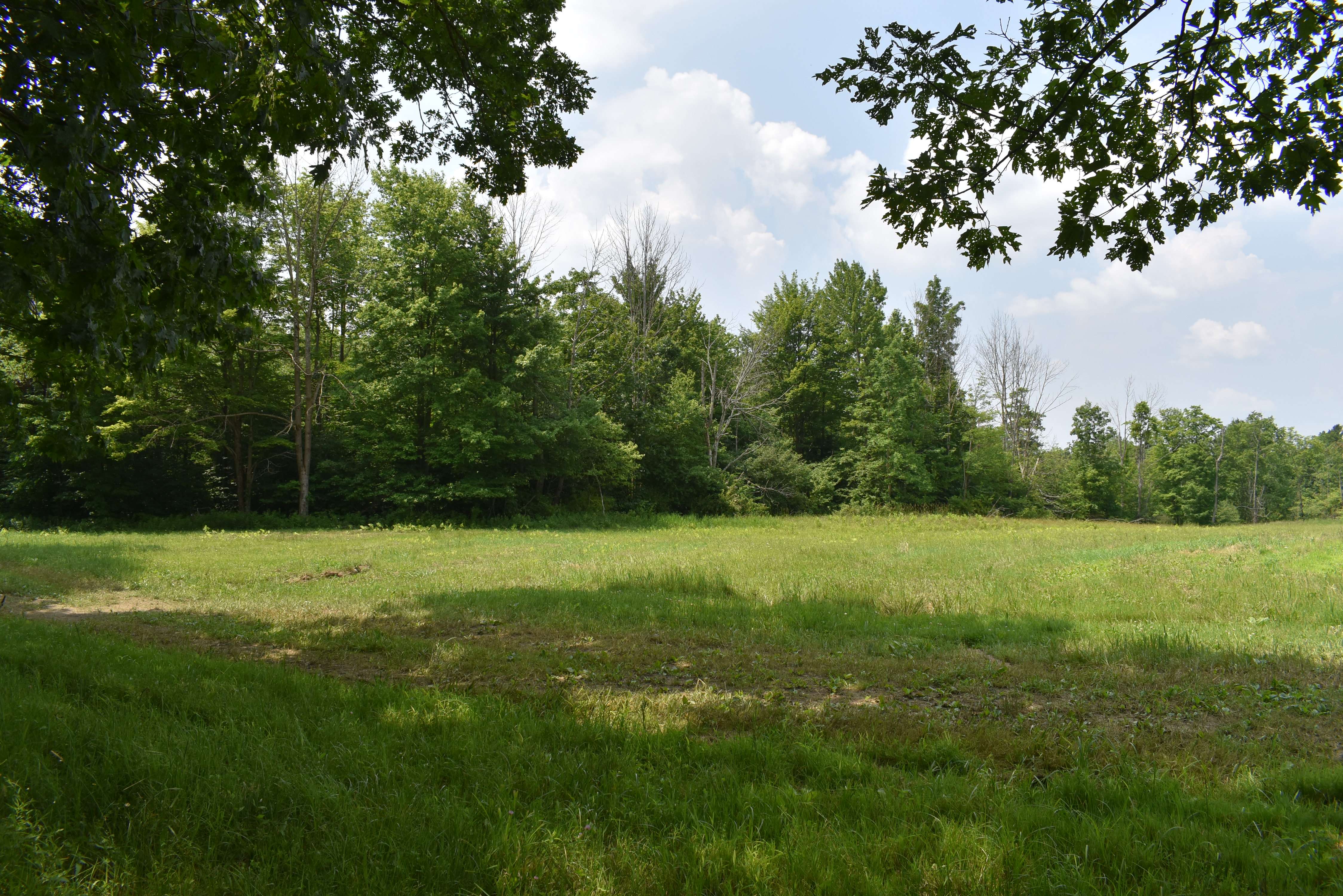 Listing Image 26