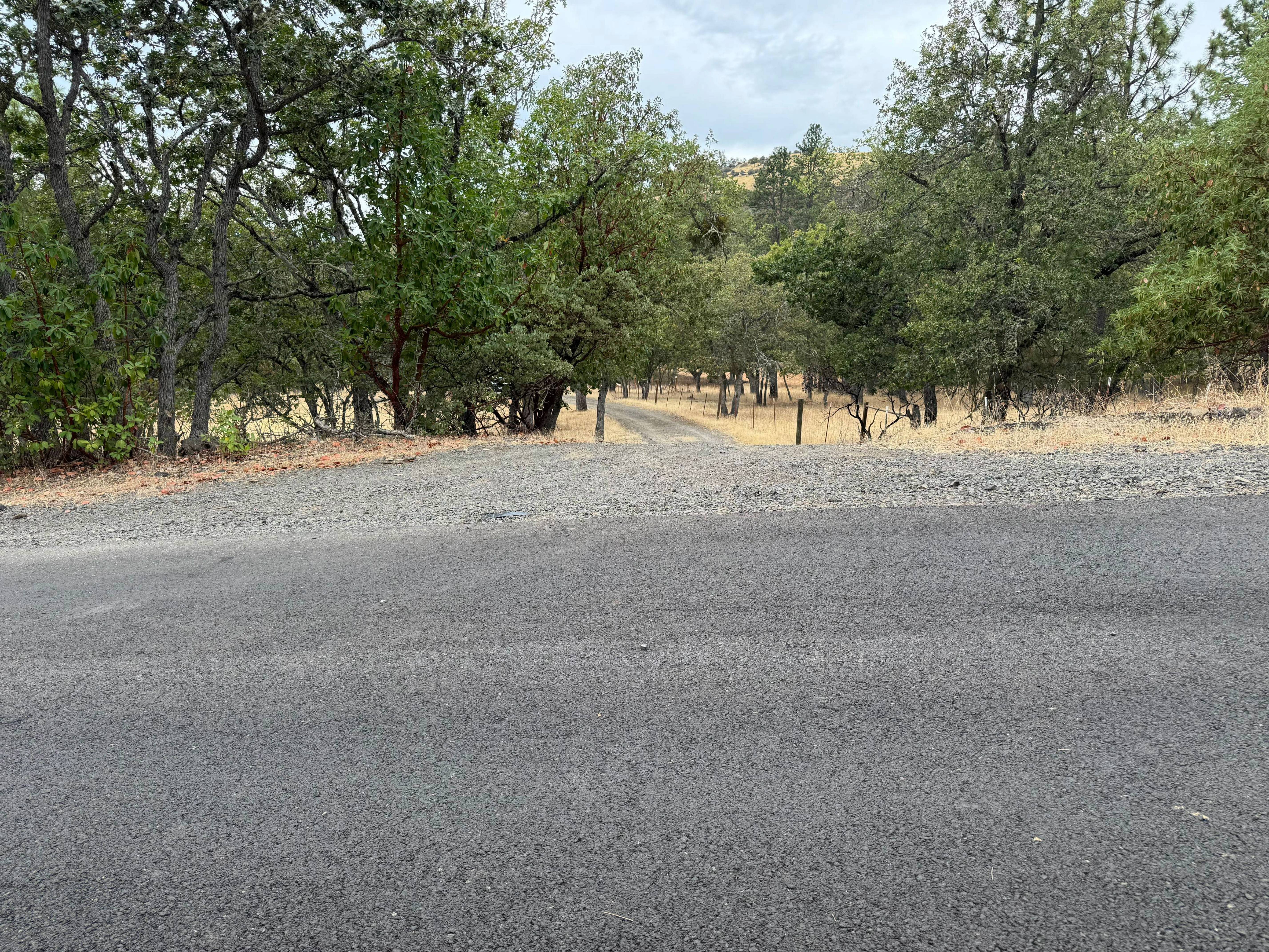 Listing Image 27