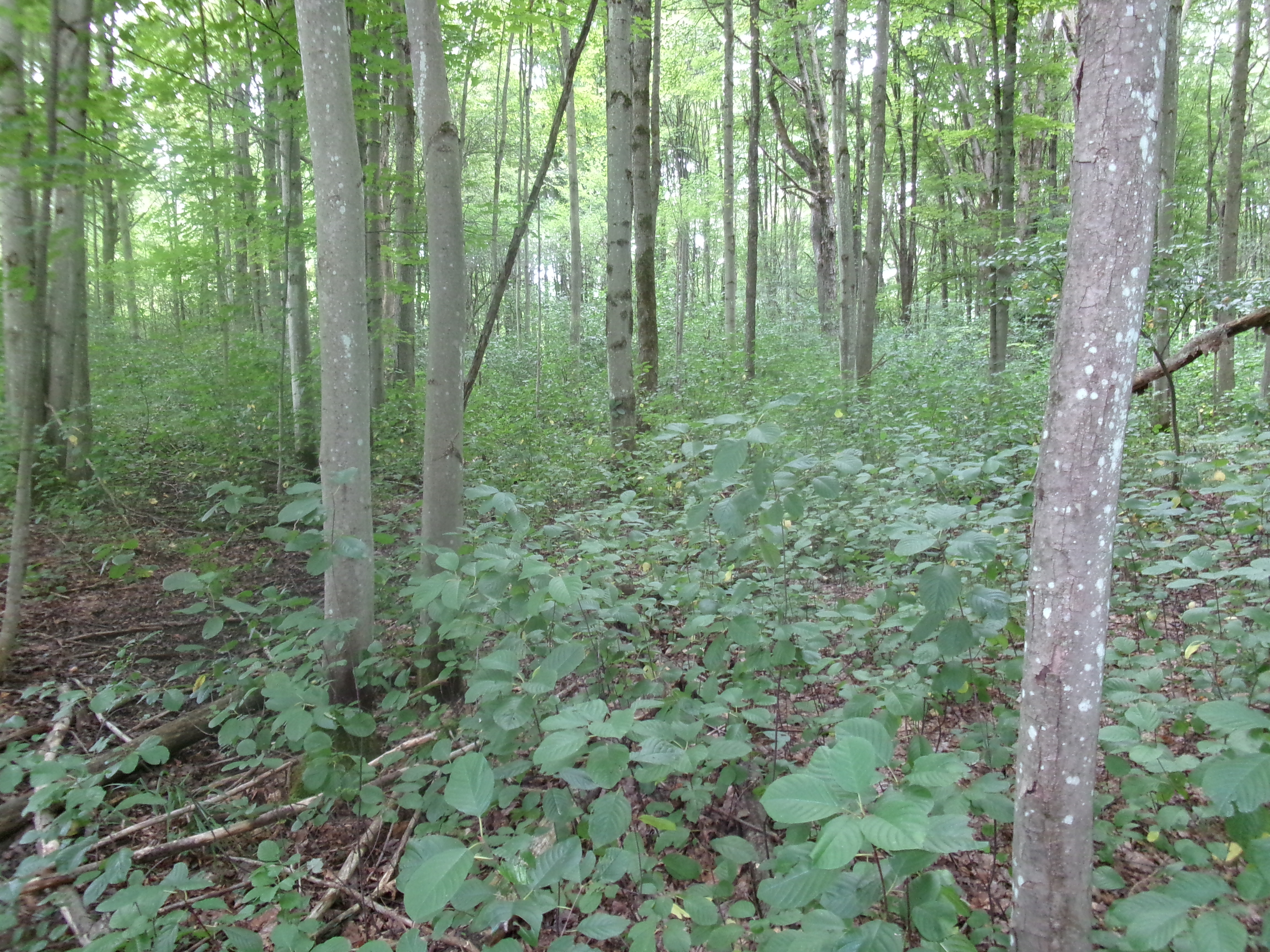 Listing Image 12