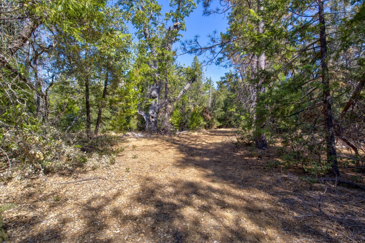 Listing Image 56