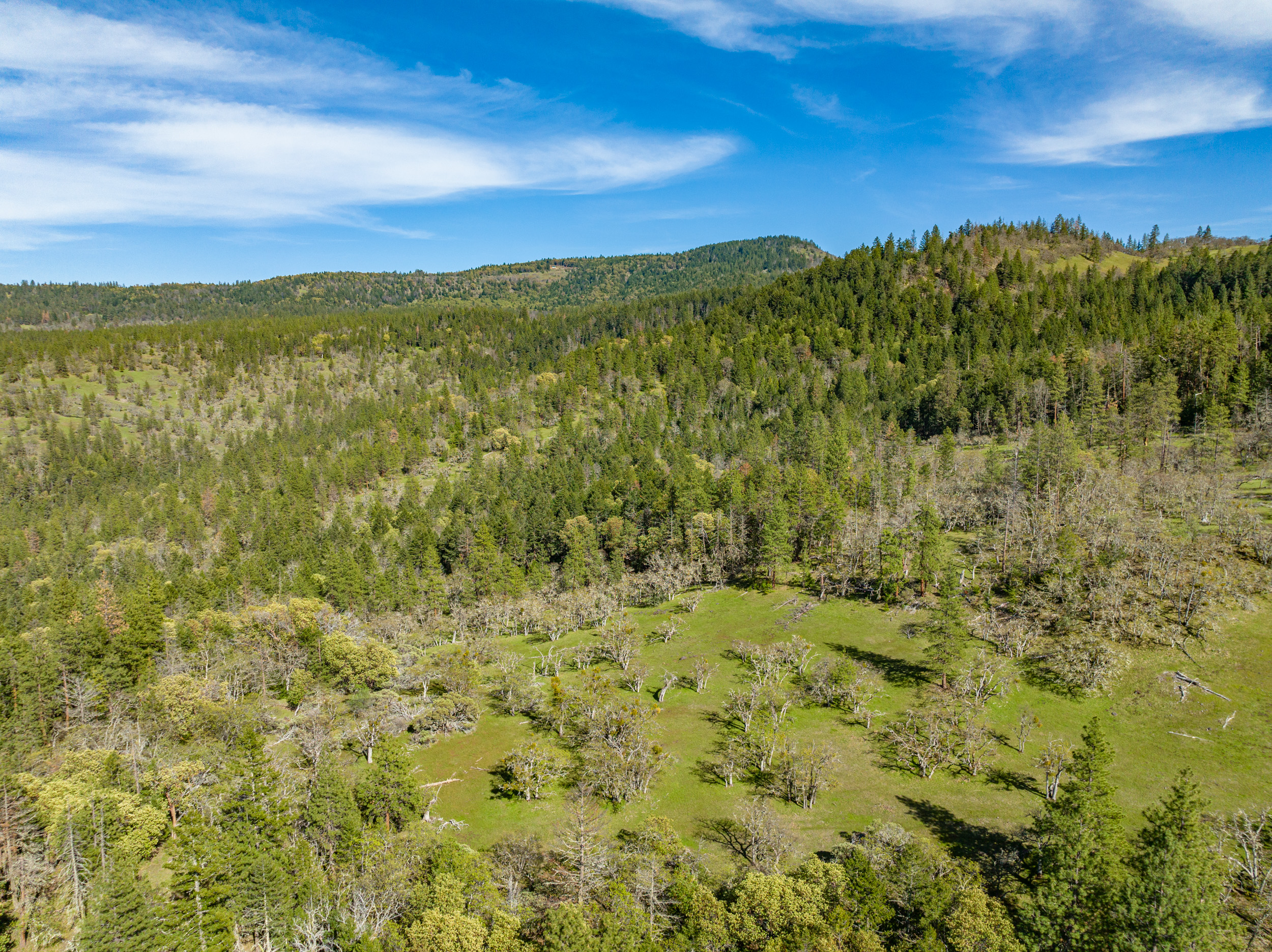 Mount Baldy Ranch