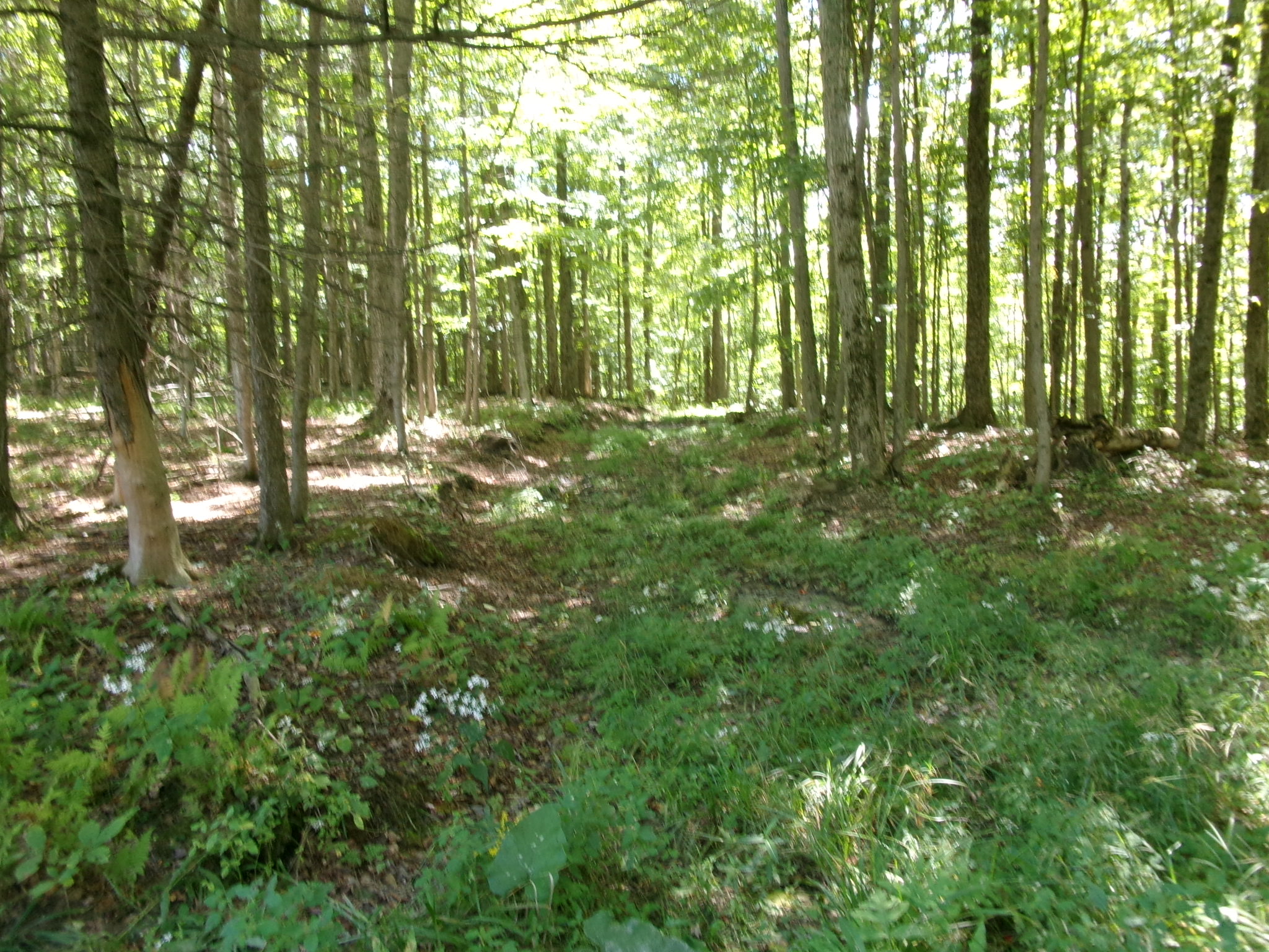 Listing Image 51