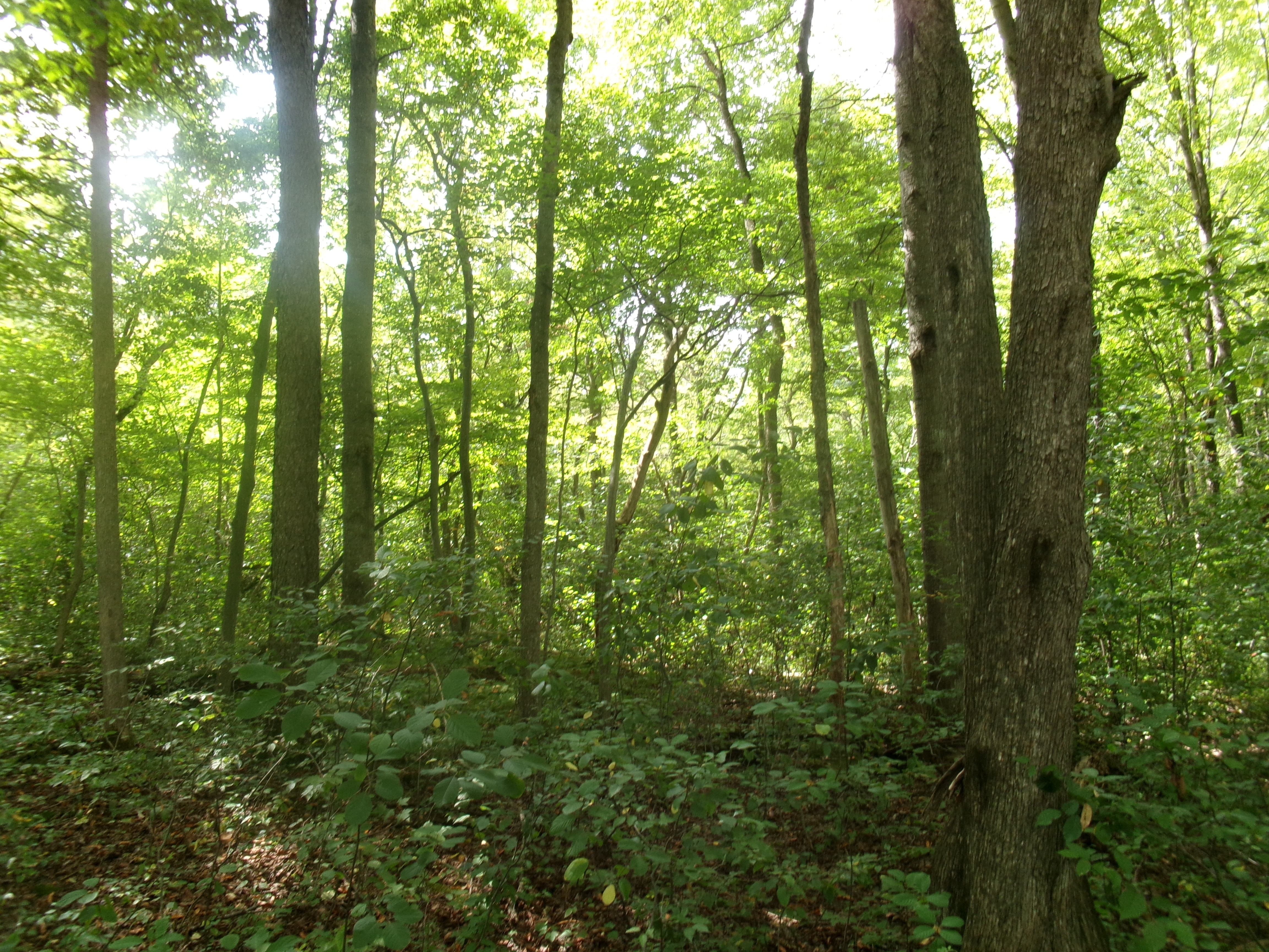 Listing Image 20