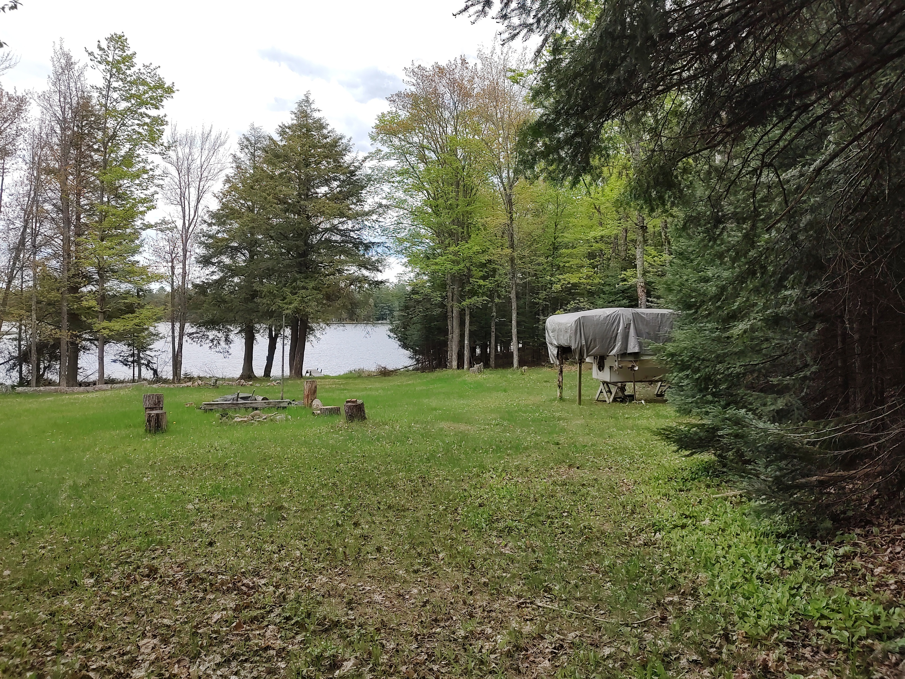 U.P. Robinson Lake Parcel 50167828