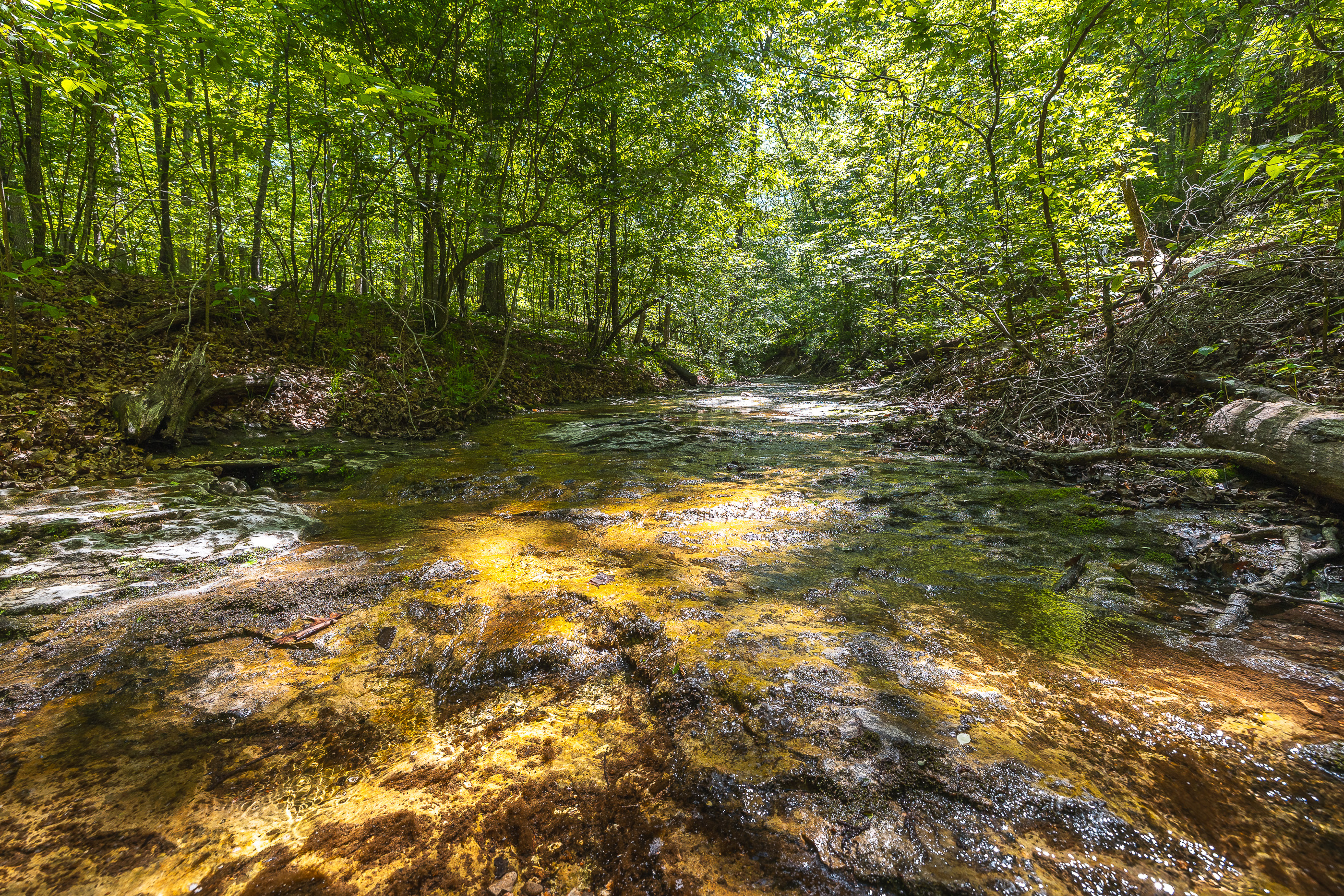 Waters Edge on the Gasconade River Tract 1