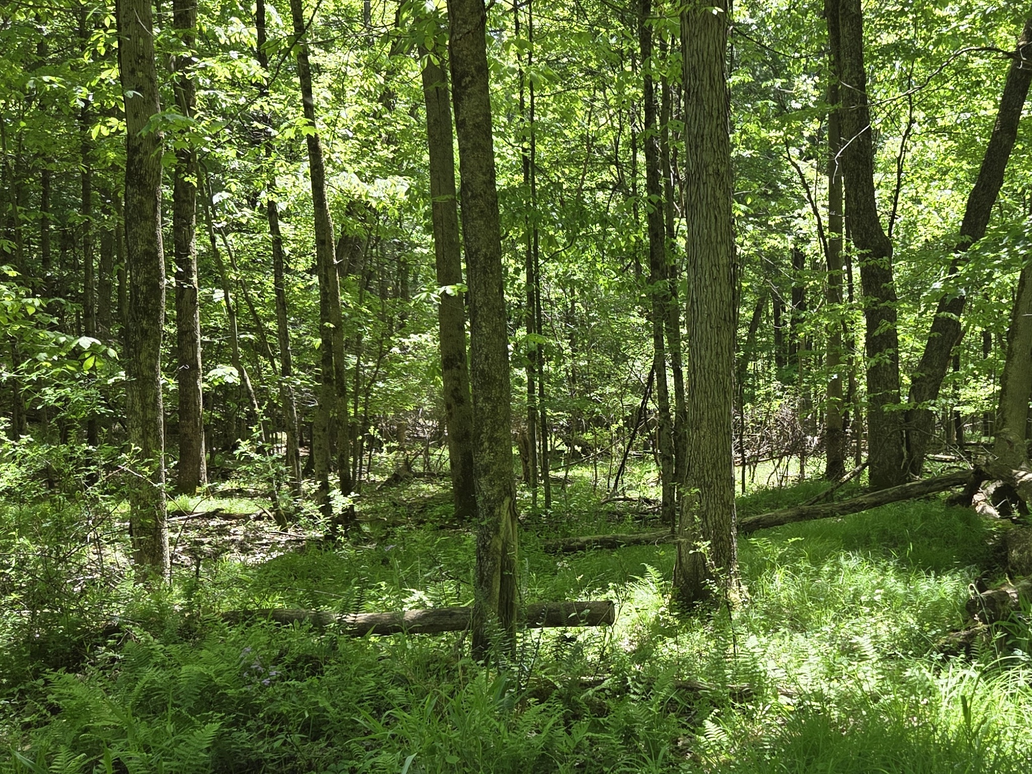 Listing Image 18