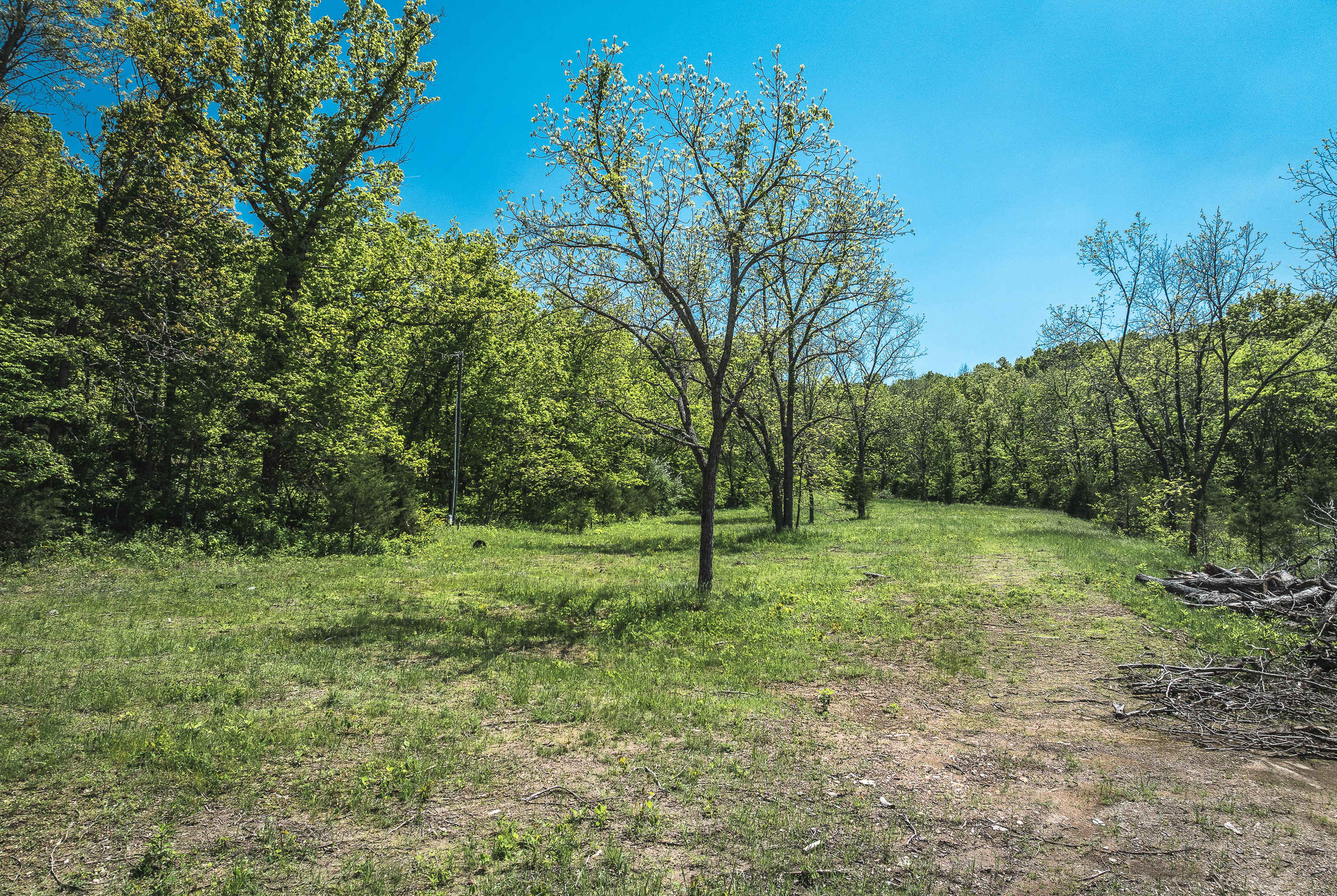 Listing Image 37