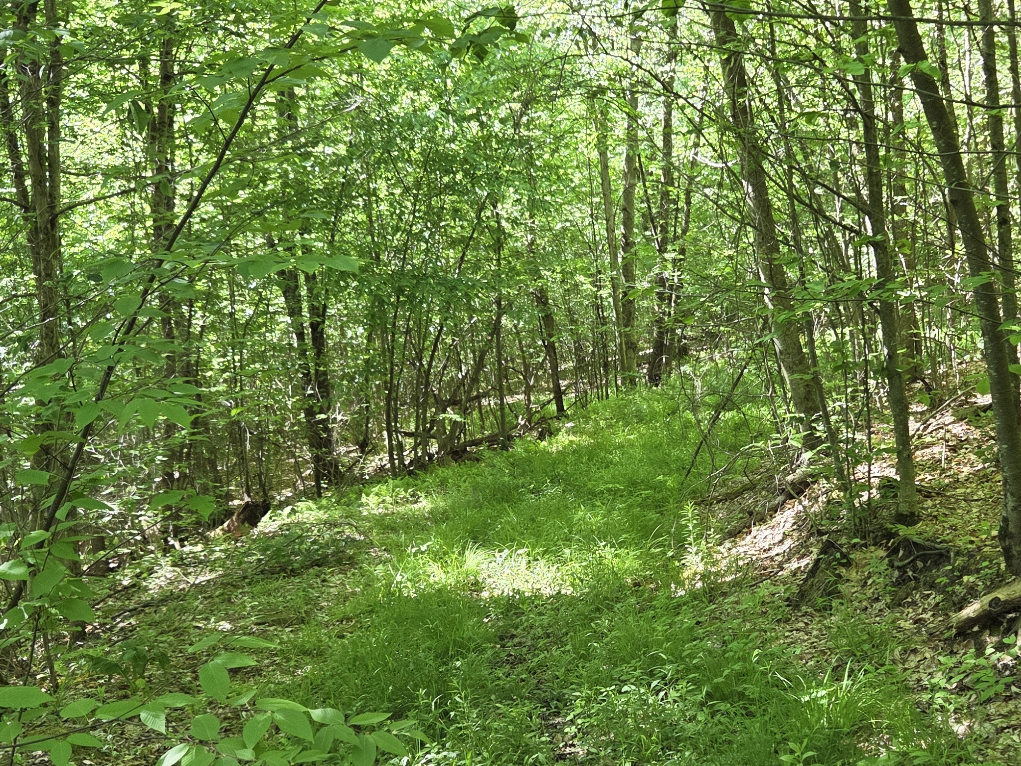 Listing Image 24