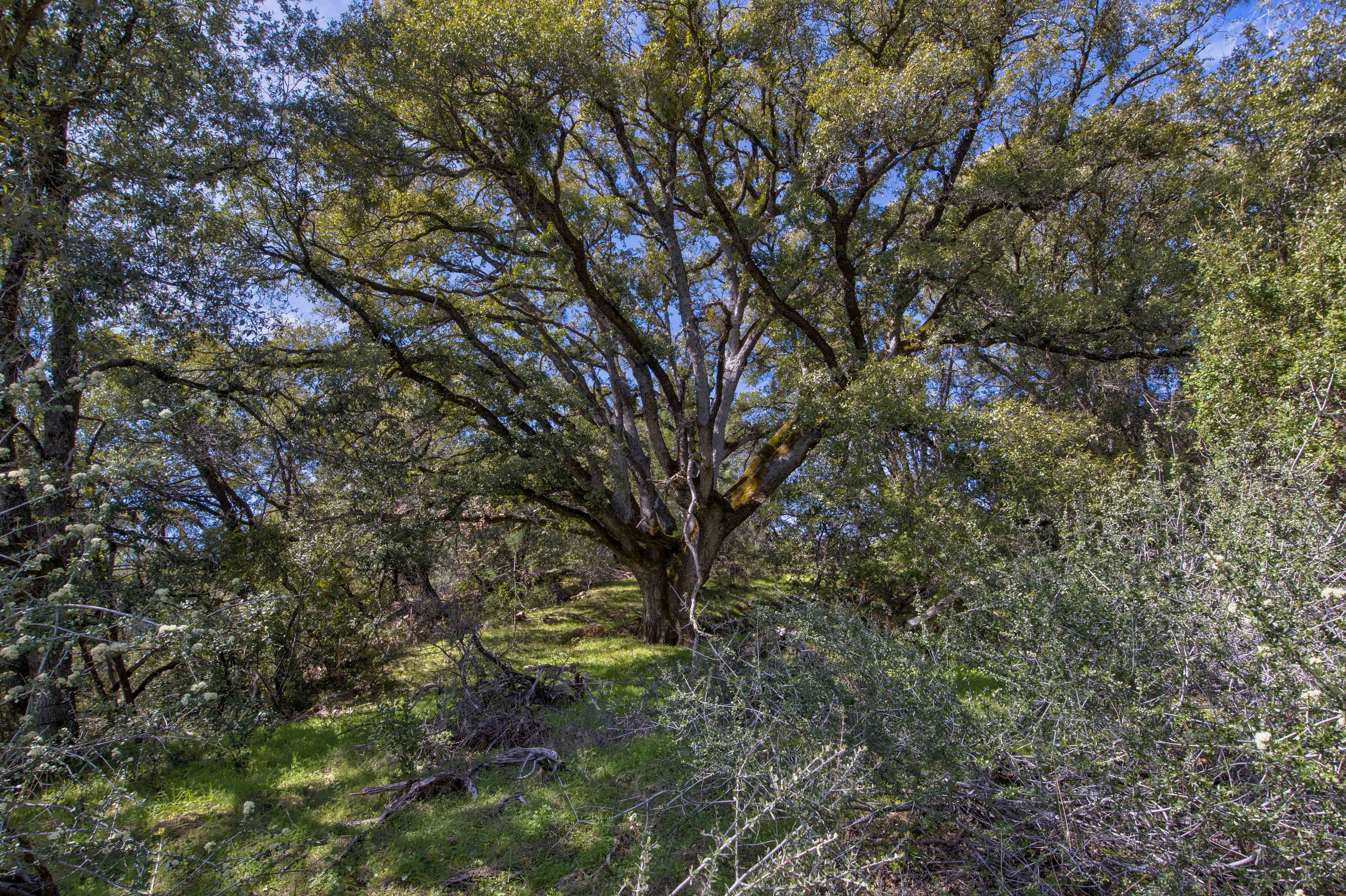Listing Image 29