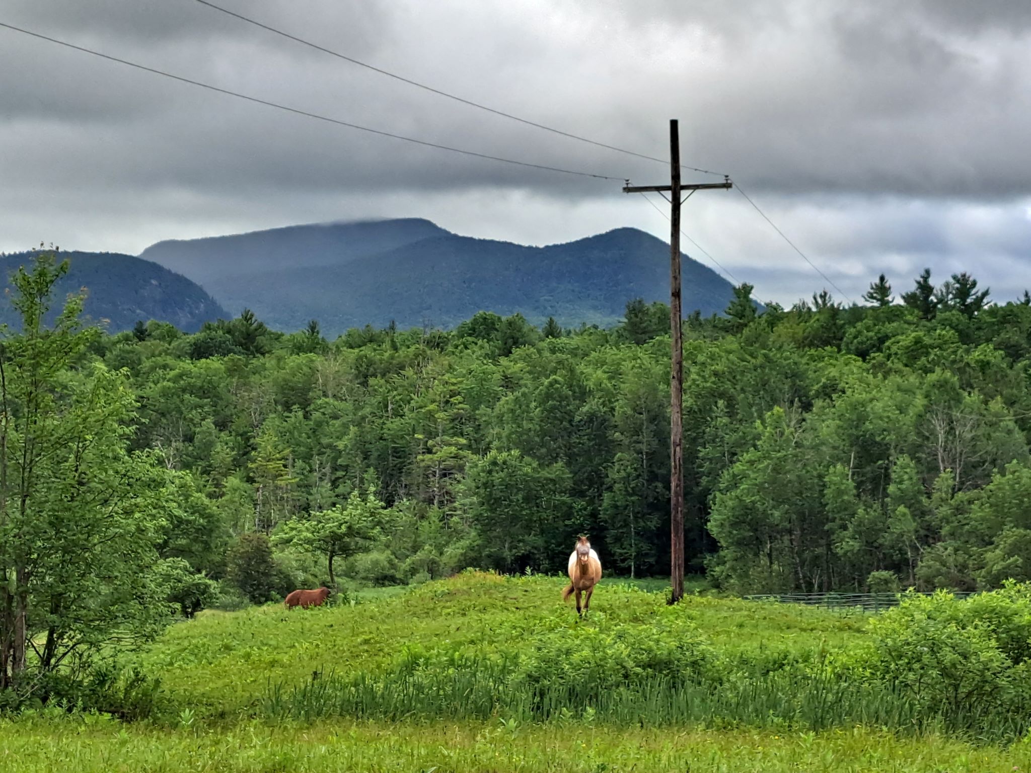 Listing Image 89
