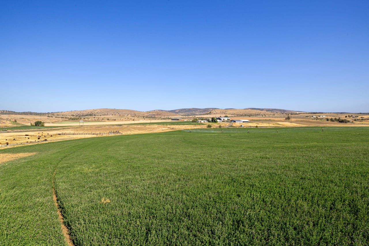 NE Cherry Lane - Productive Irrigated Farm for Sale