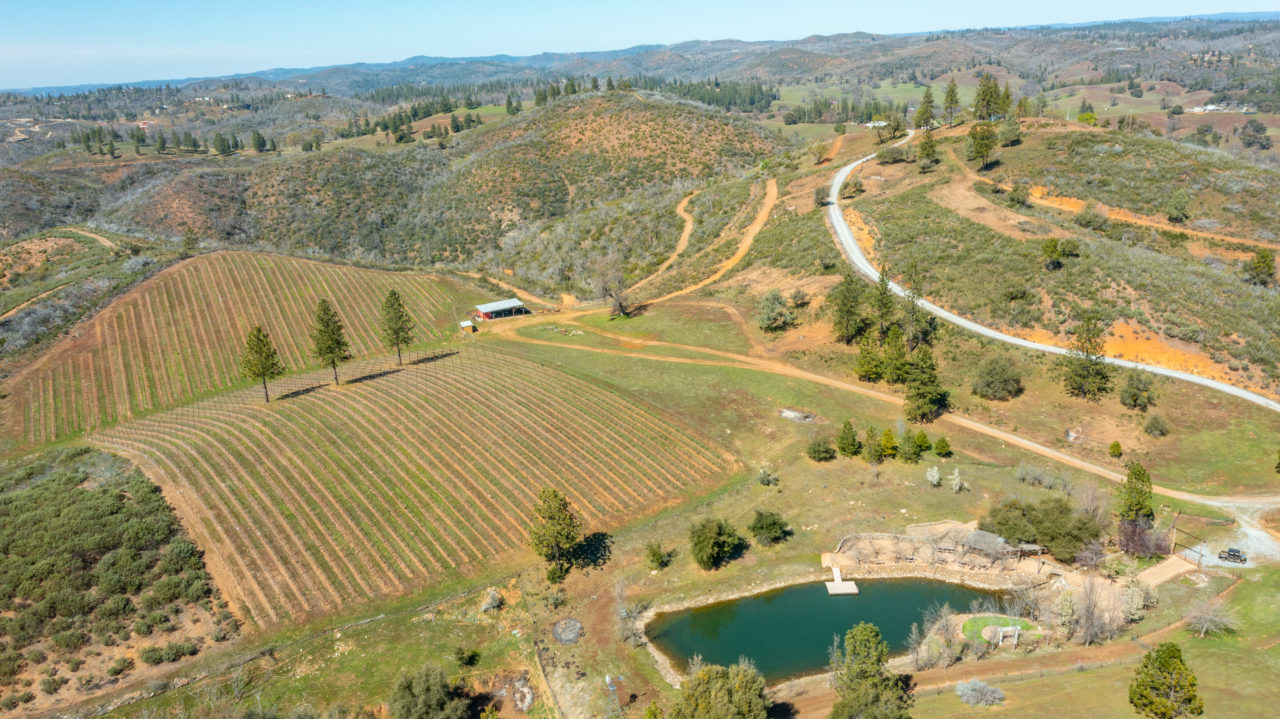 Tailem Bend Ranch and Vineyard