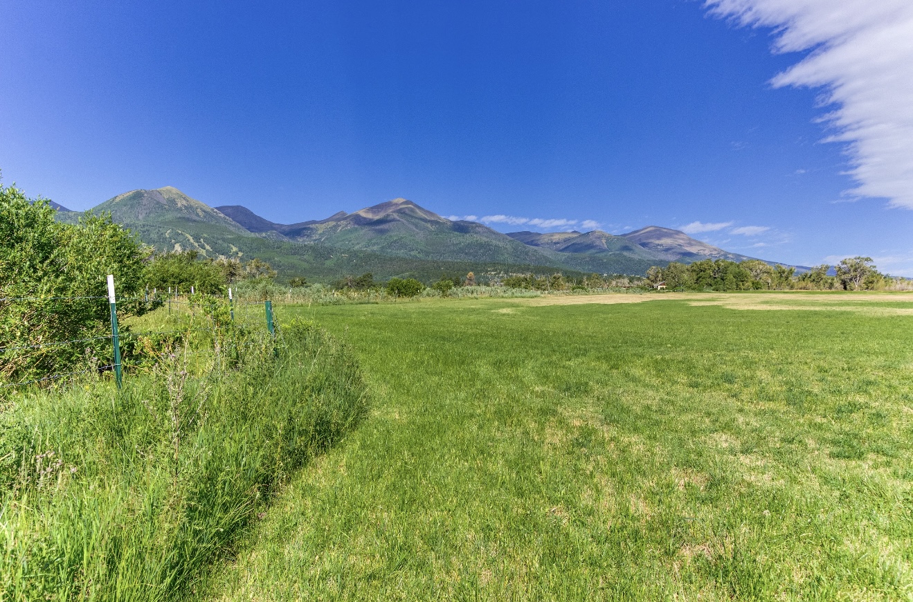 1290 Hill Country Road