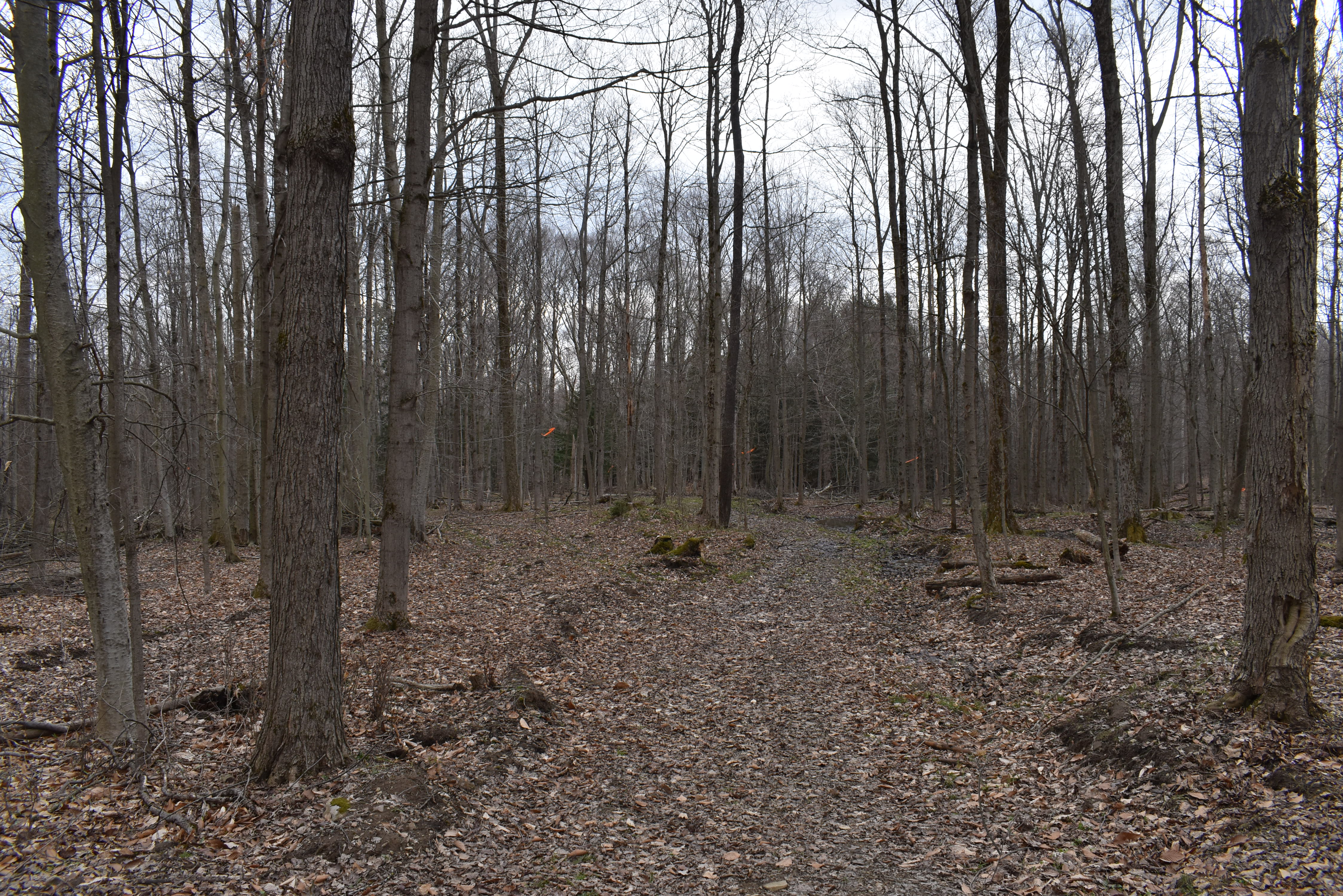 Hammond Hill Hideaway