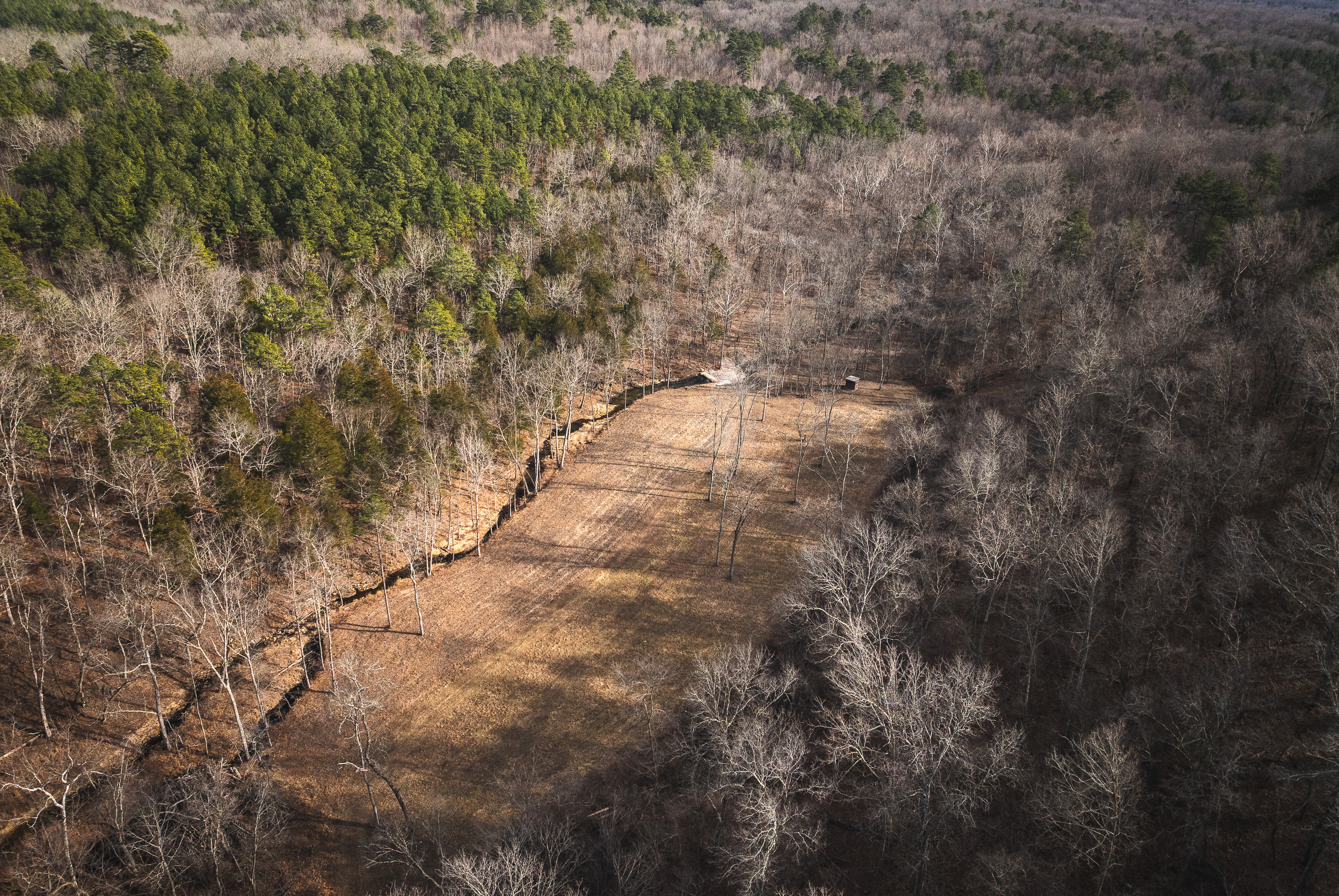 Curly Hole Camp at Peterball Spring