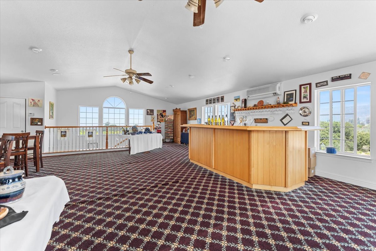 Alger Vineyards and More