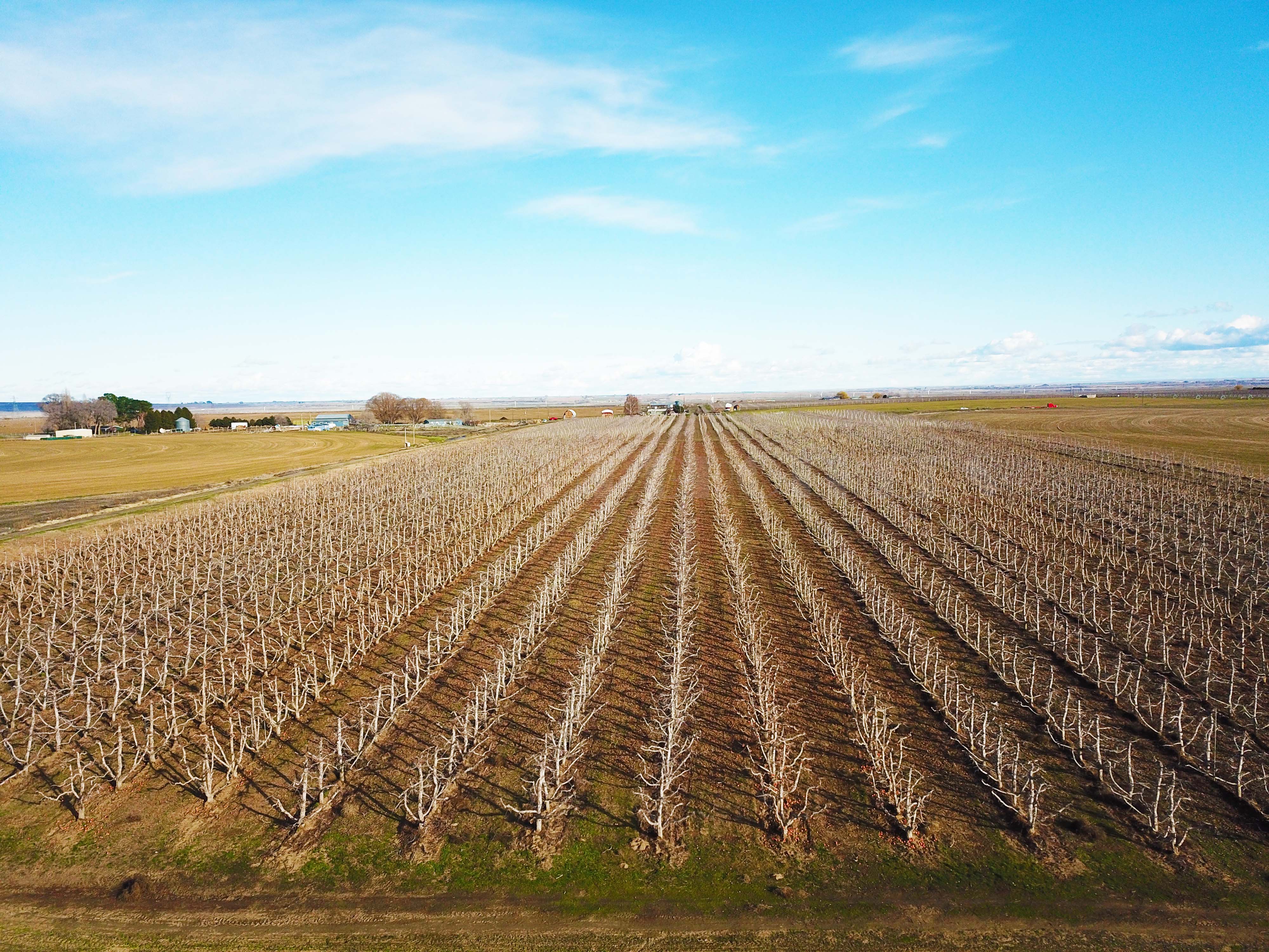 Fern Road Irrigated farm