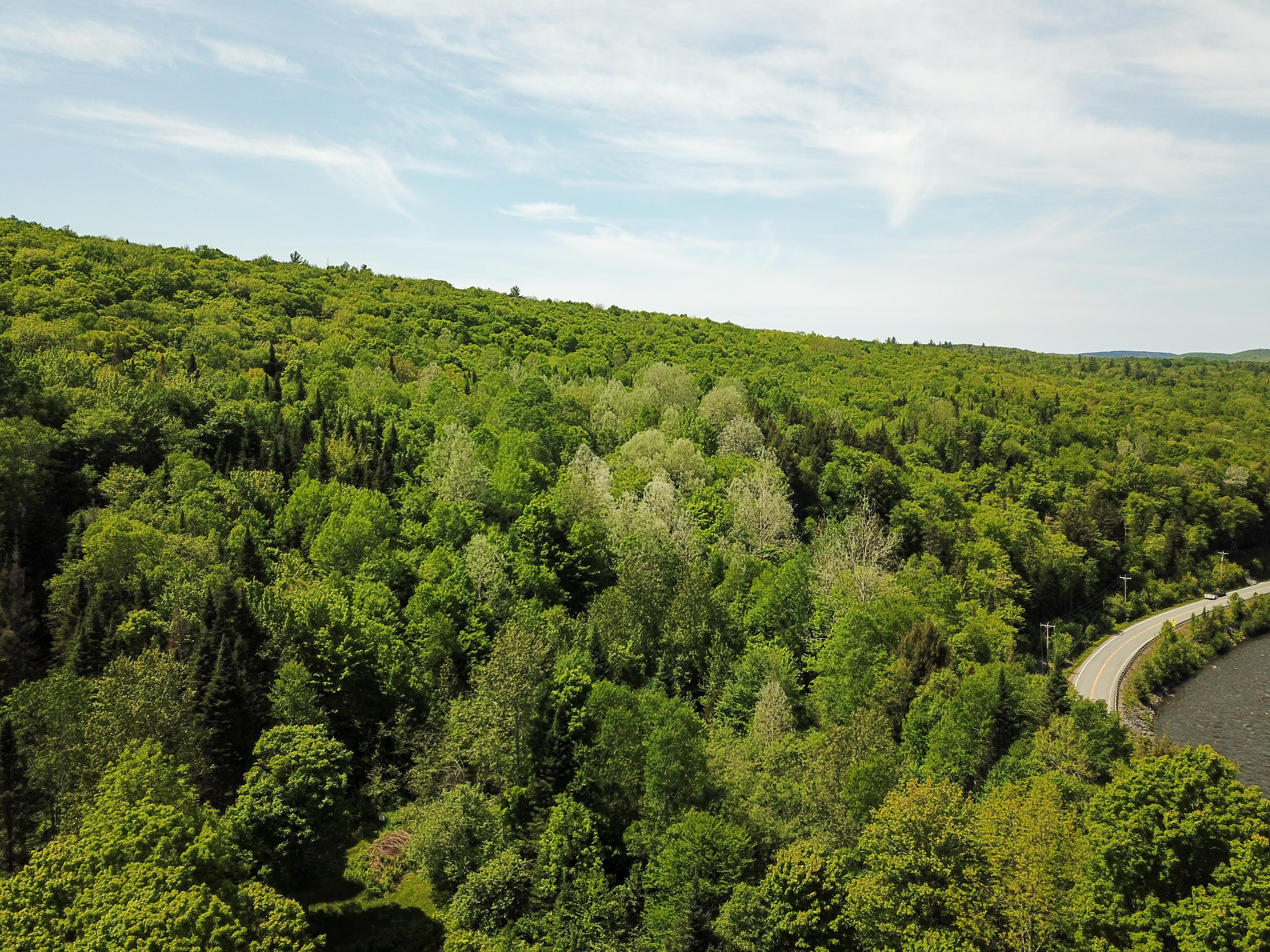 150 Spur Rd - Bloomfield