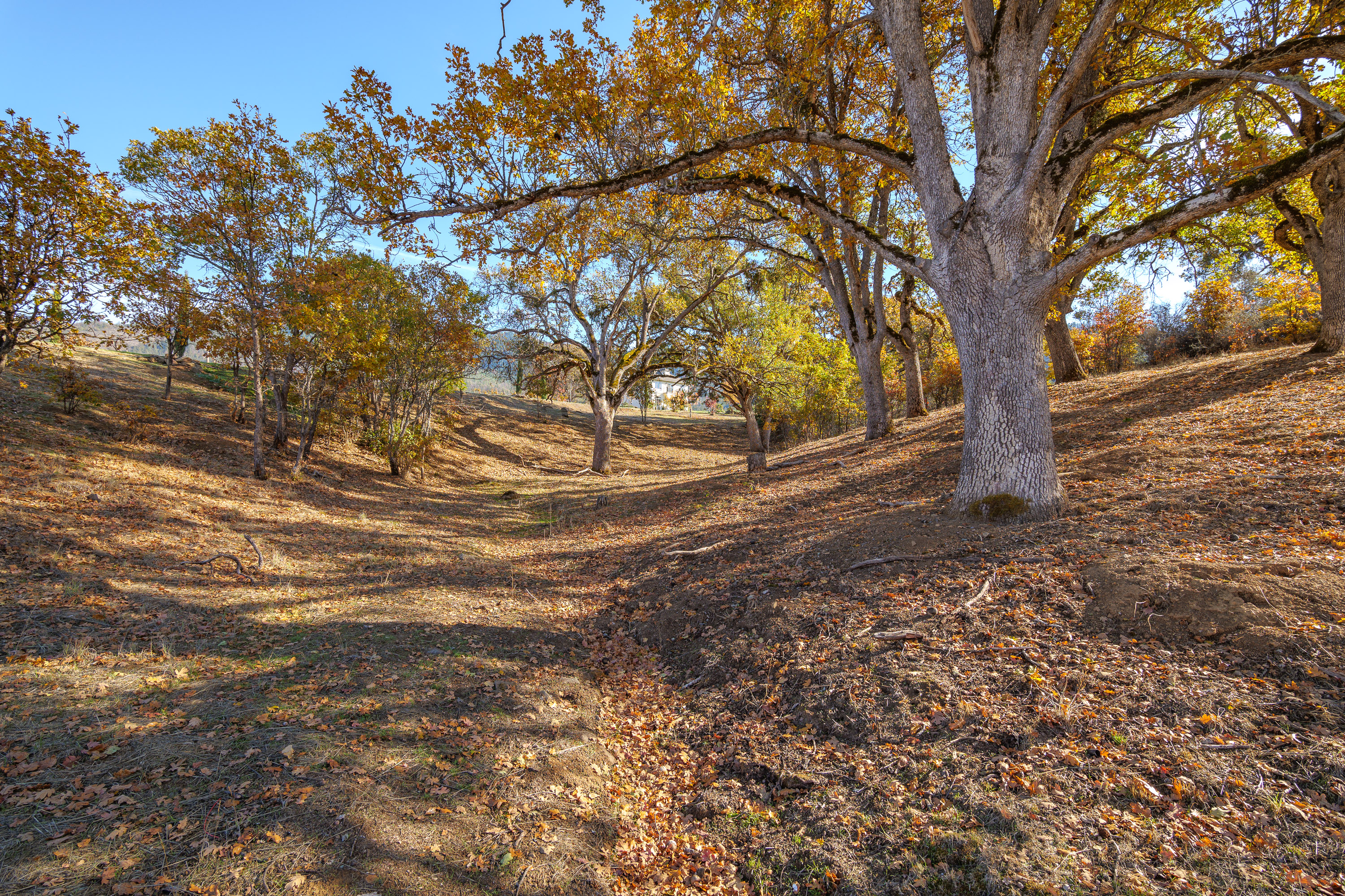 Listing Image 52