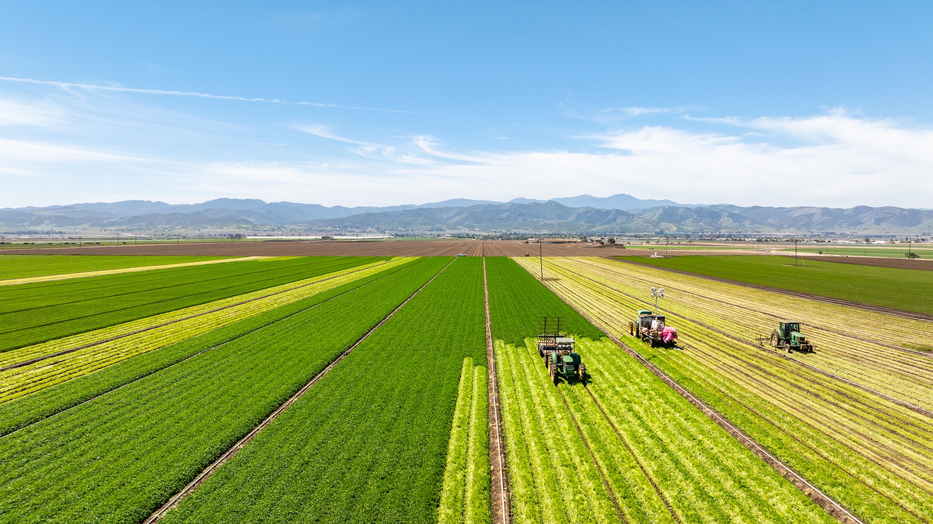 Reynolds Land & Cattle Co. Farmland