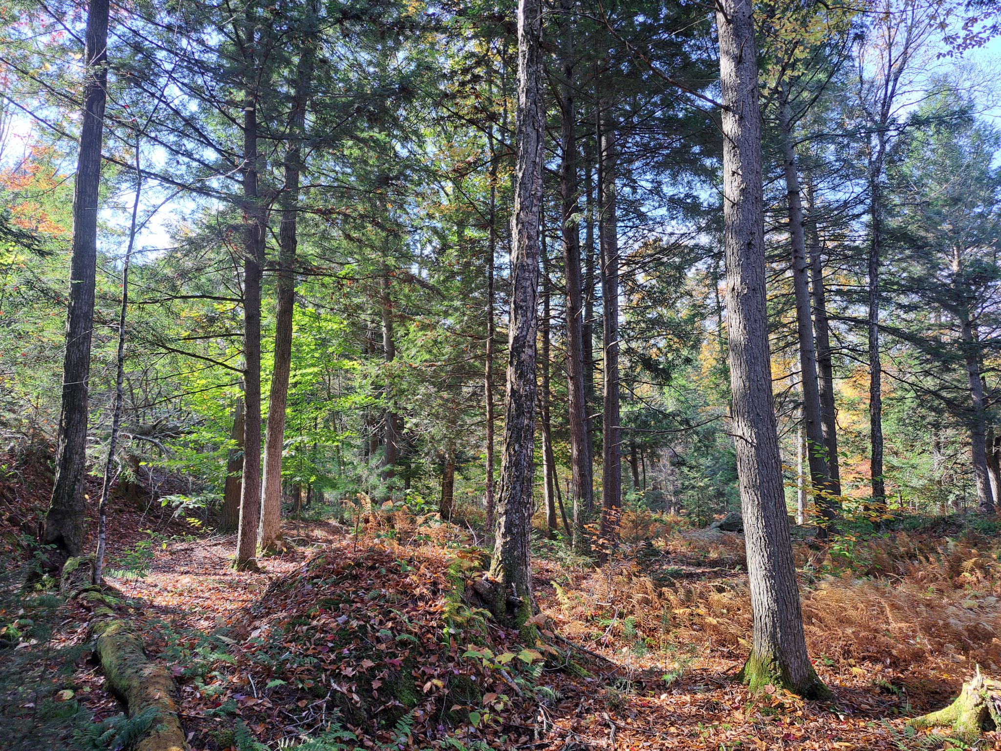Listing Image 57
