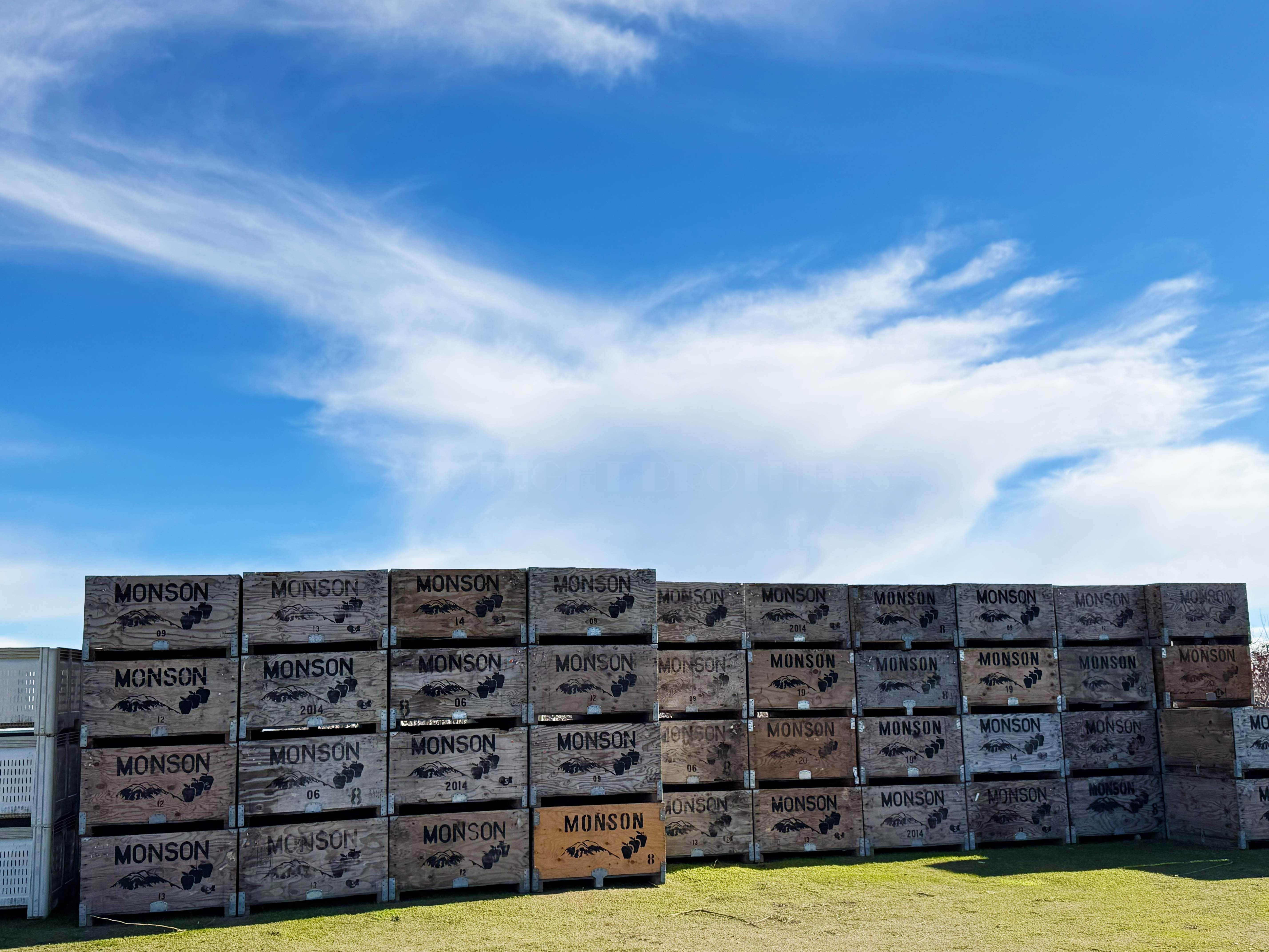 Best Price in County for Productive Orchard