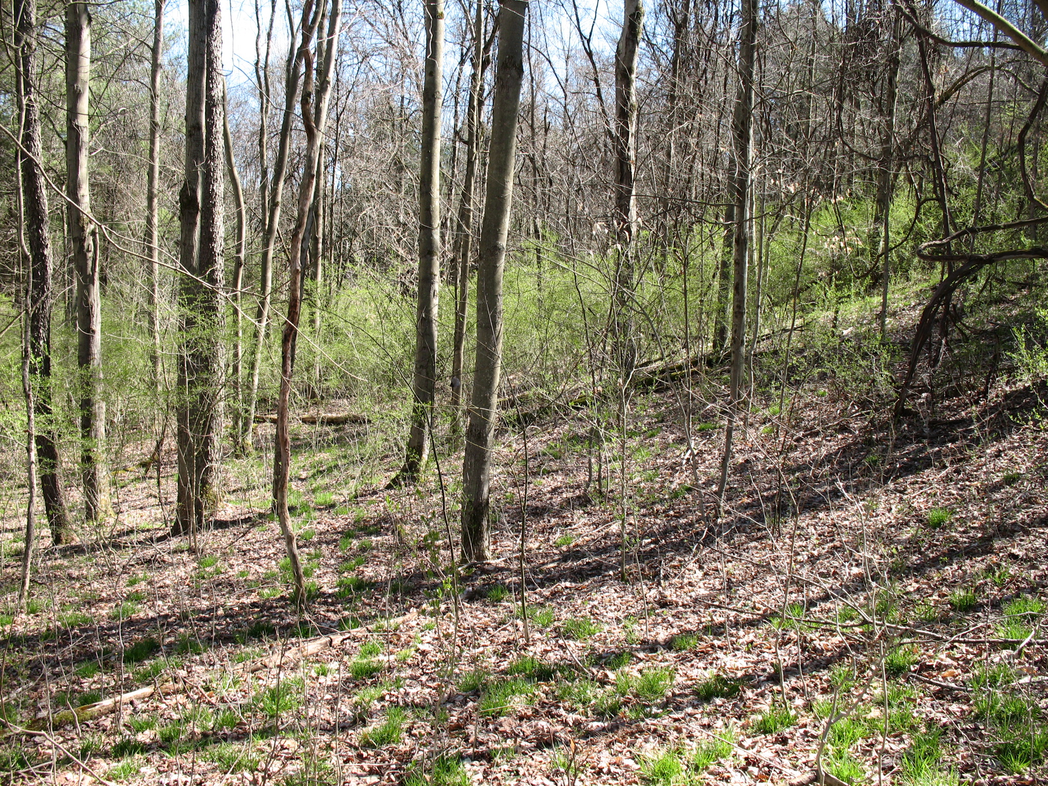 Listing Image 32