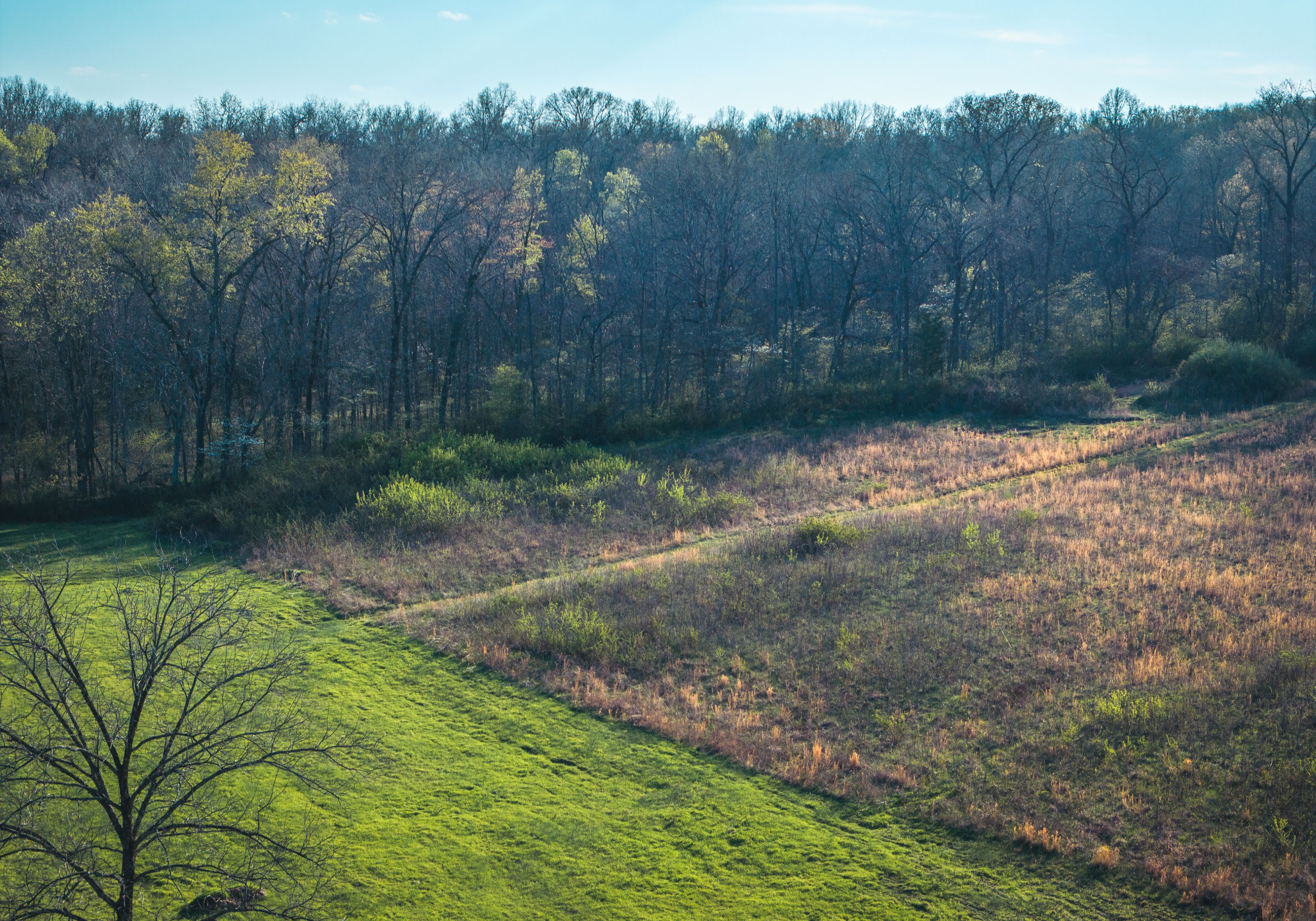 Meramec Paradise