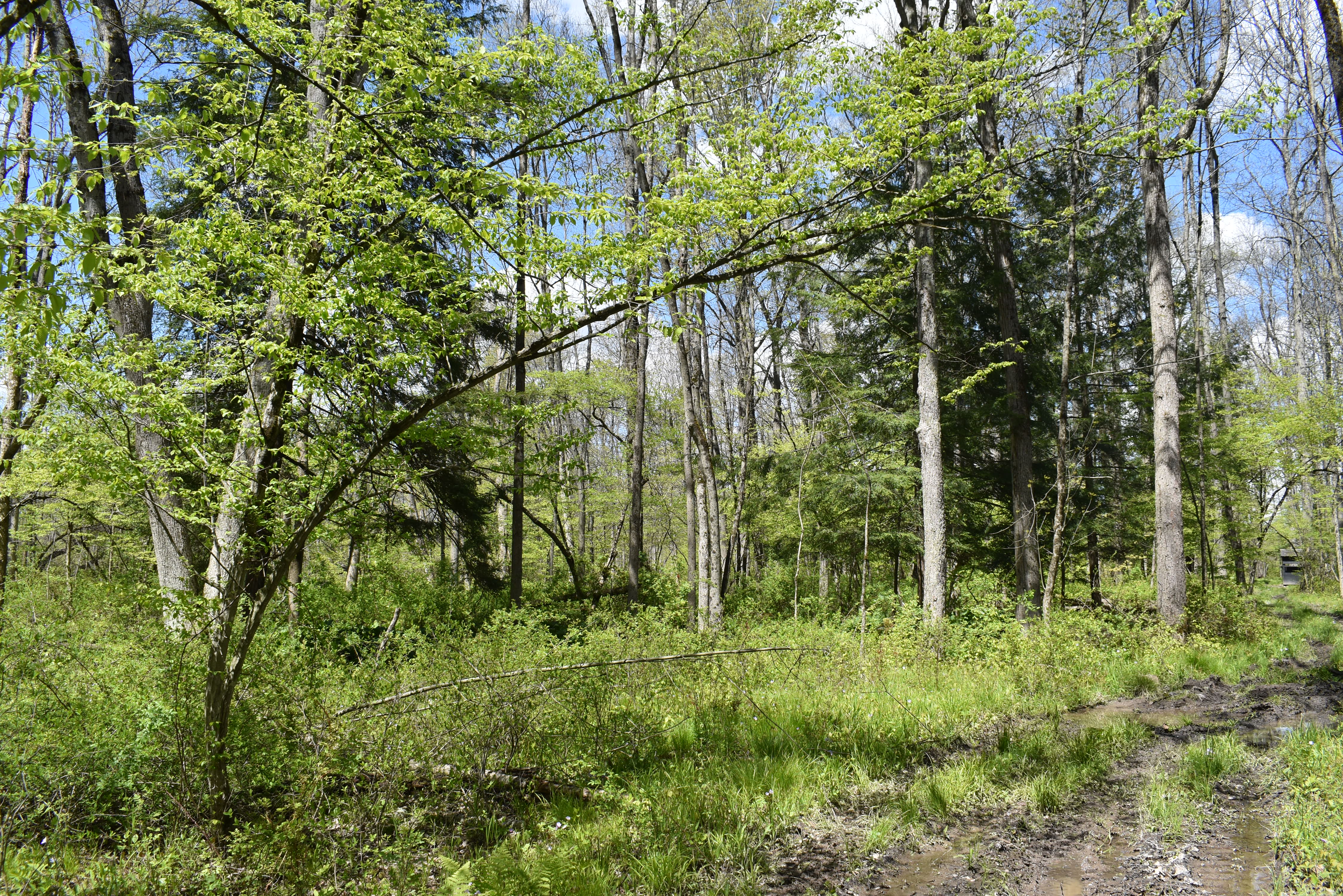 Listing Image 17