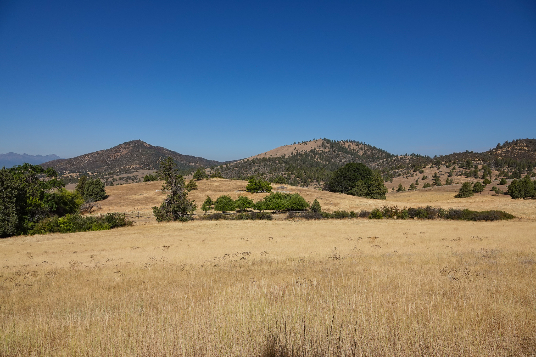 Listing Image 40