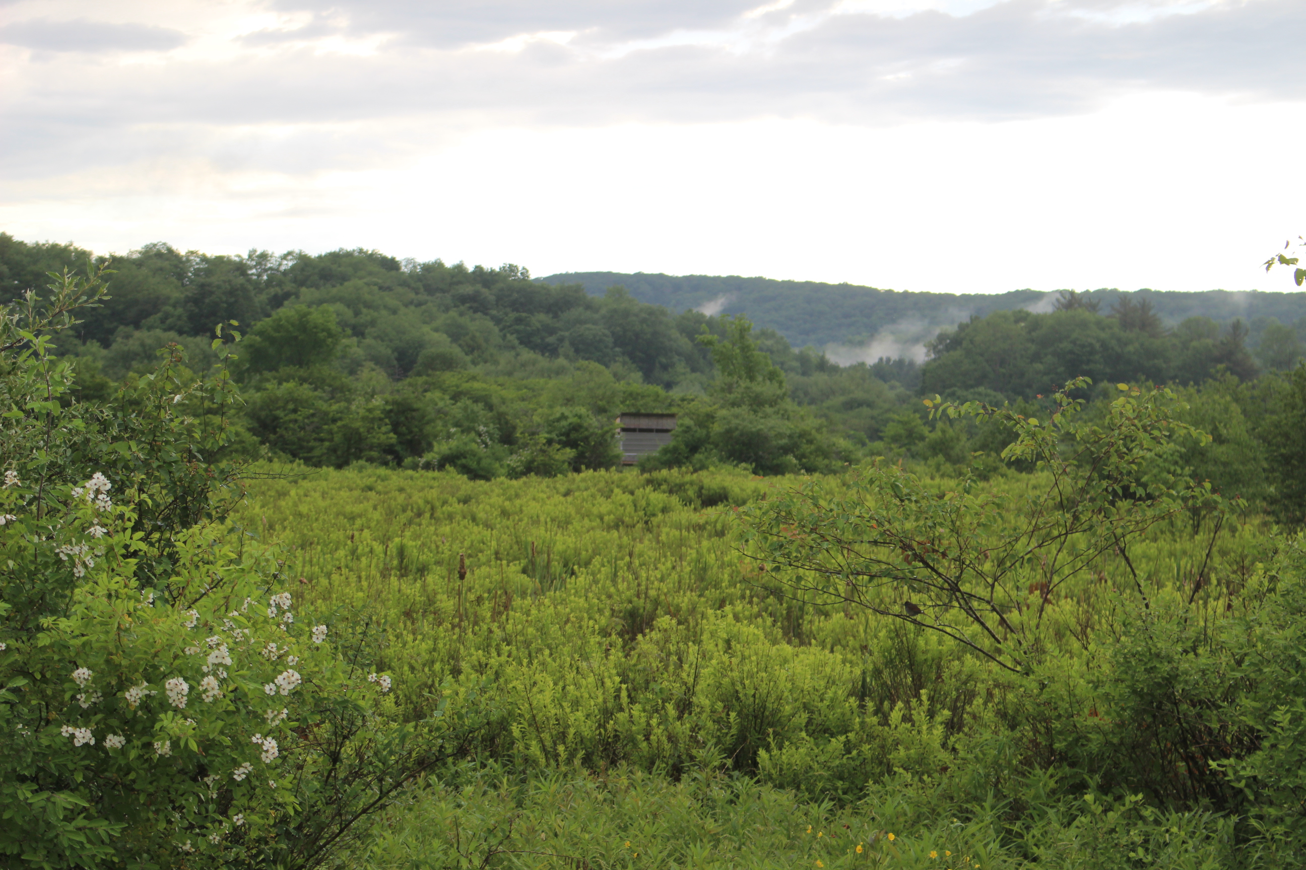 Dodge Creek
