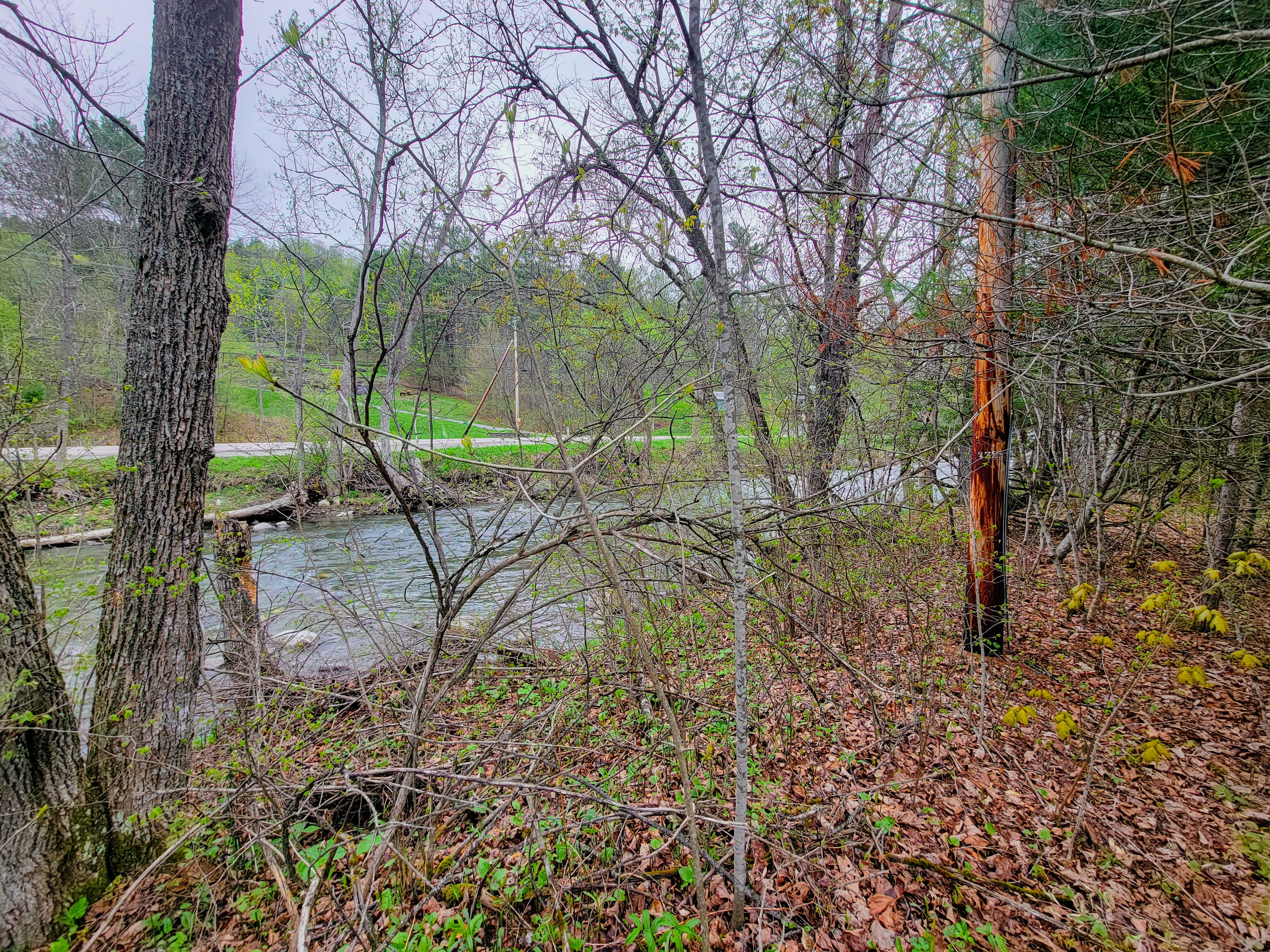 12 Meadowbrook Ln - Chelsea