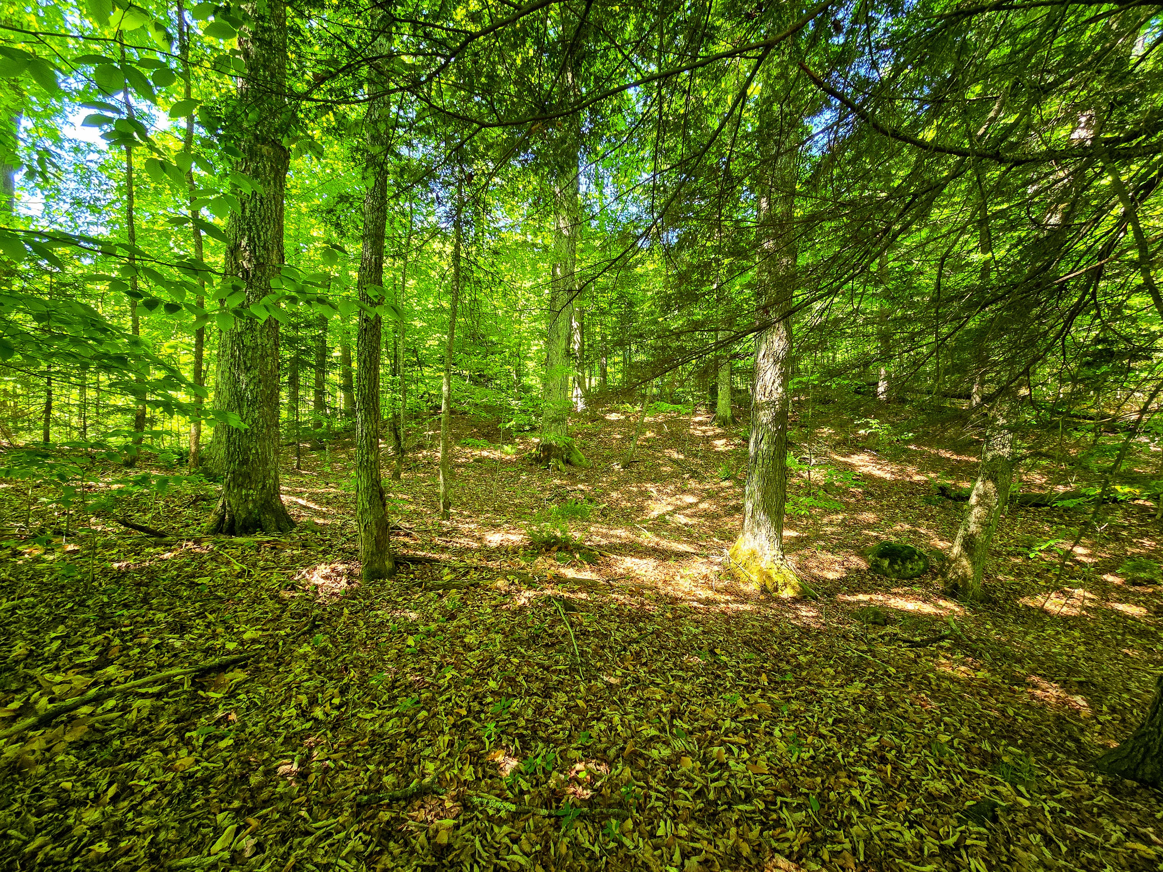 Listing Image 12