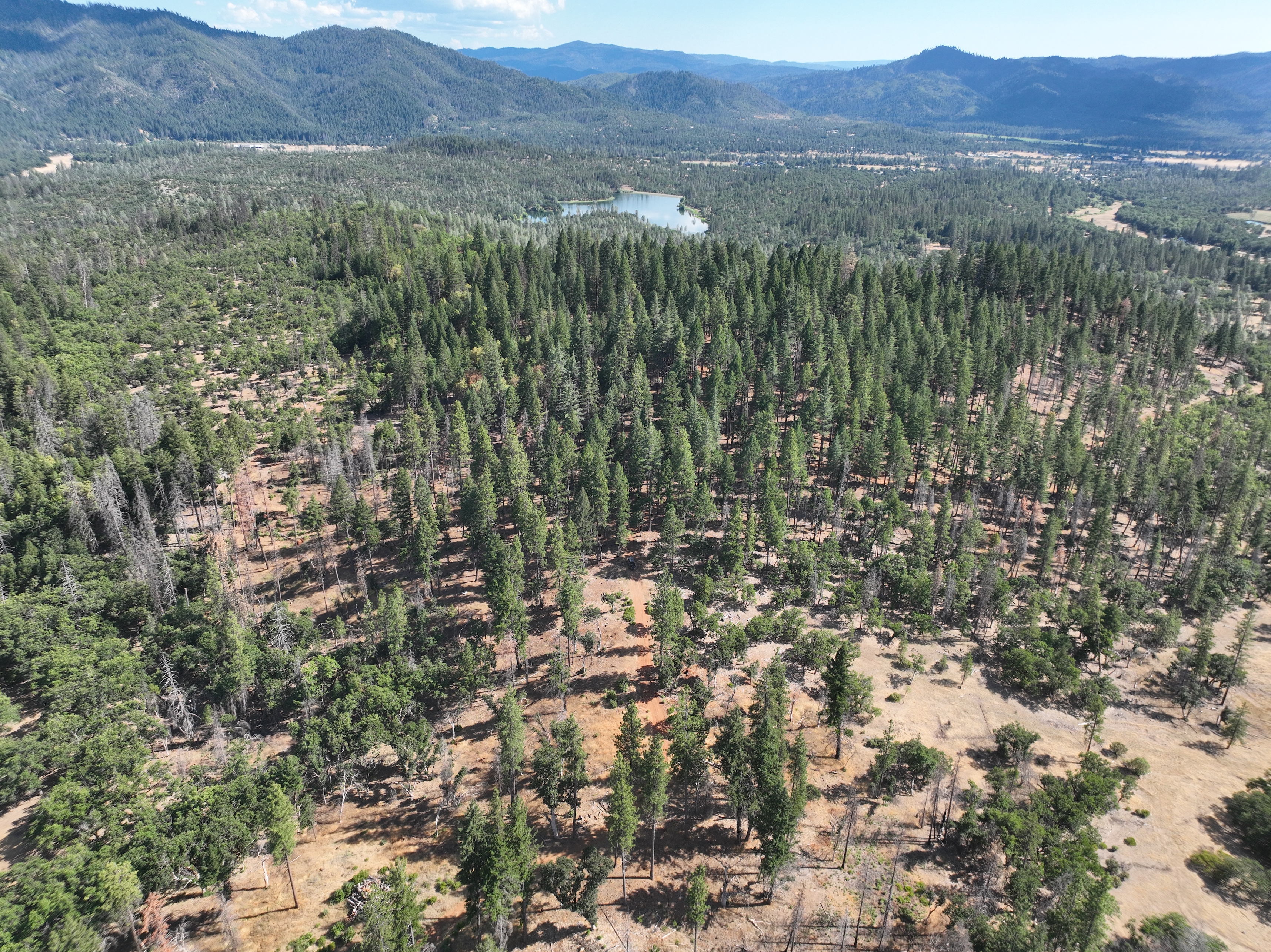 240 Acres Hayfork