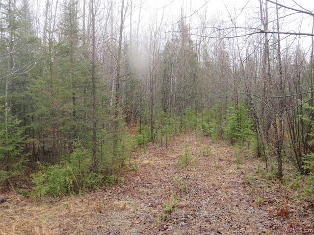 80 Acre Woodland Retreat 50173805