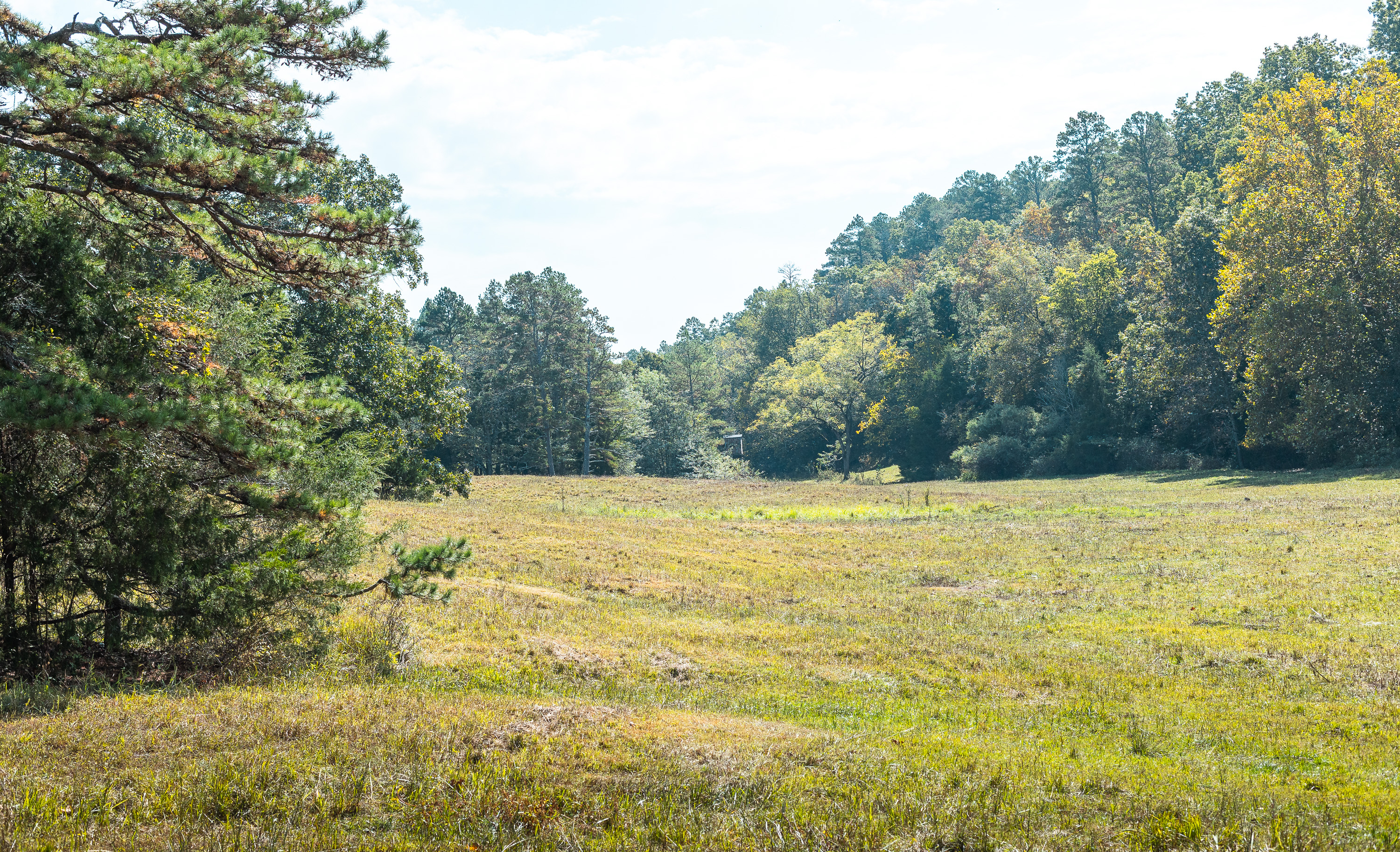 Ashley Creek Ranch 329