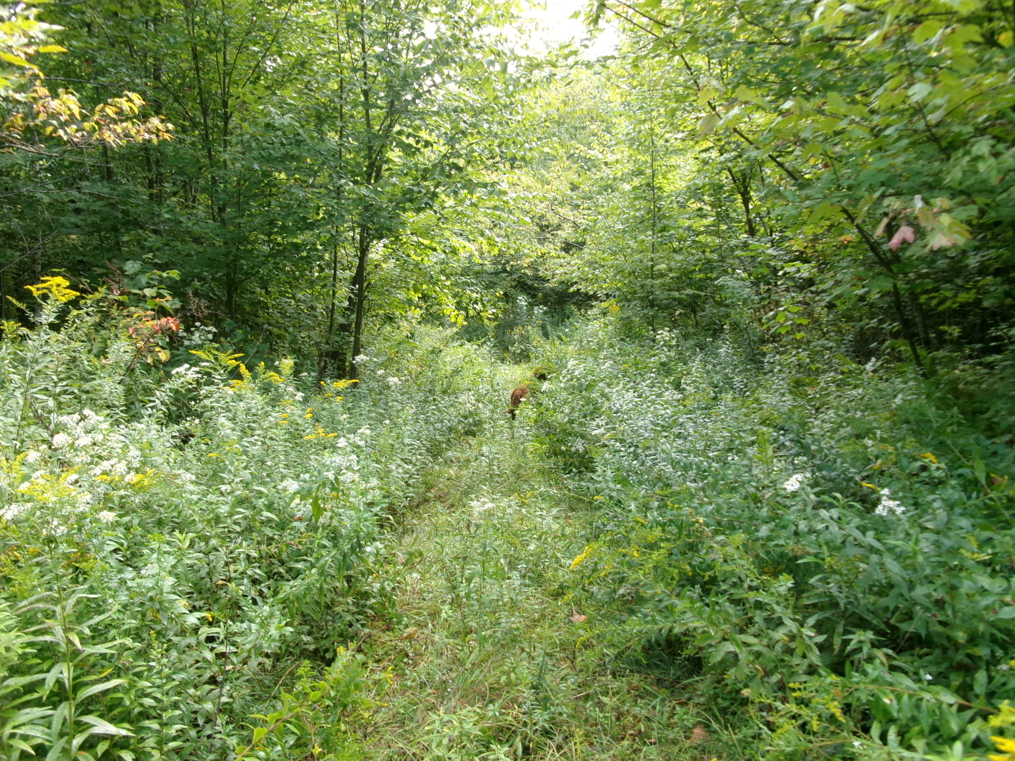 Listing Image 29