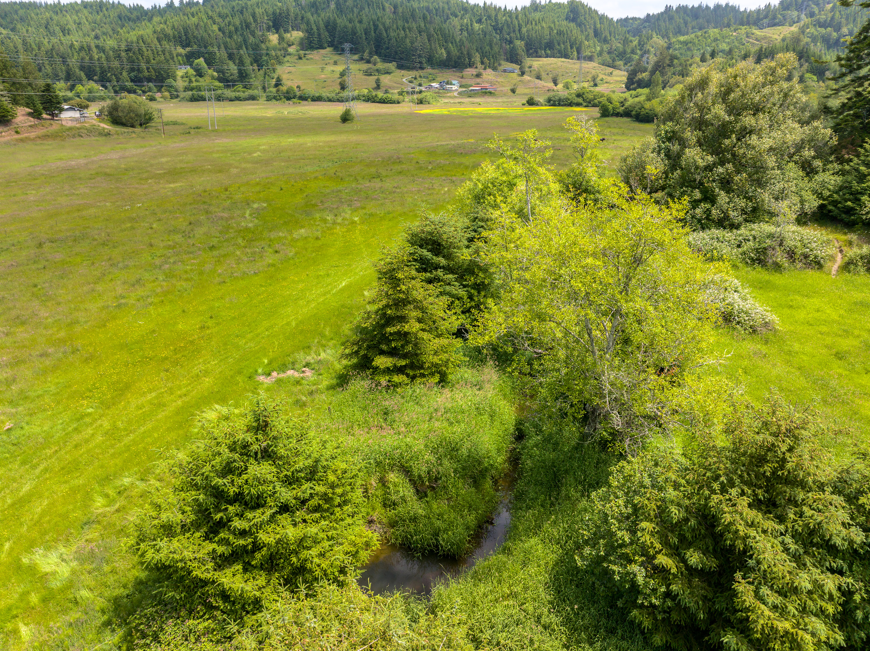 Listing Image 51