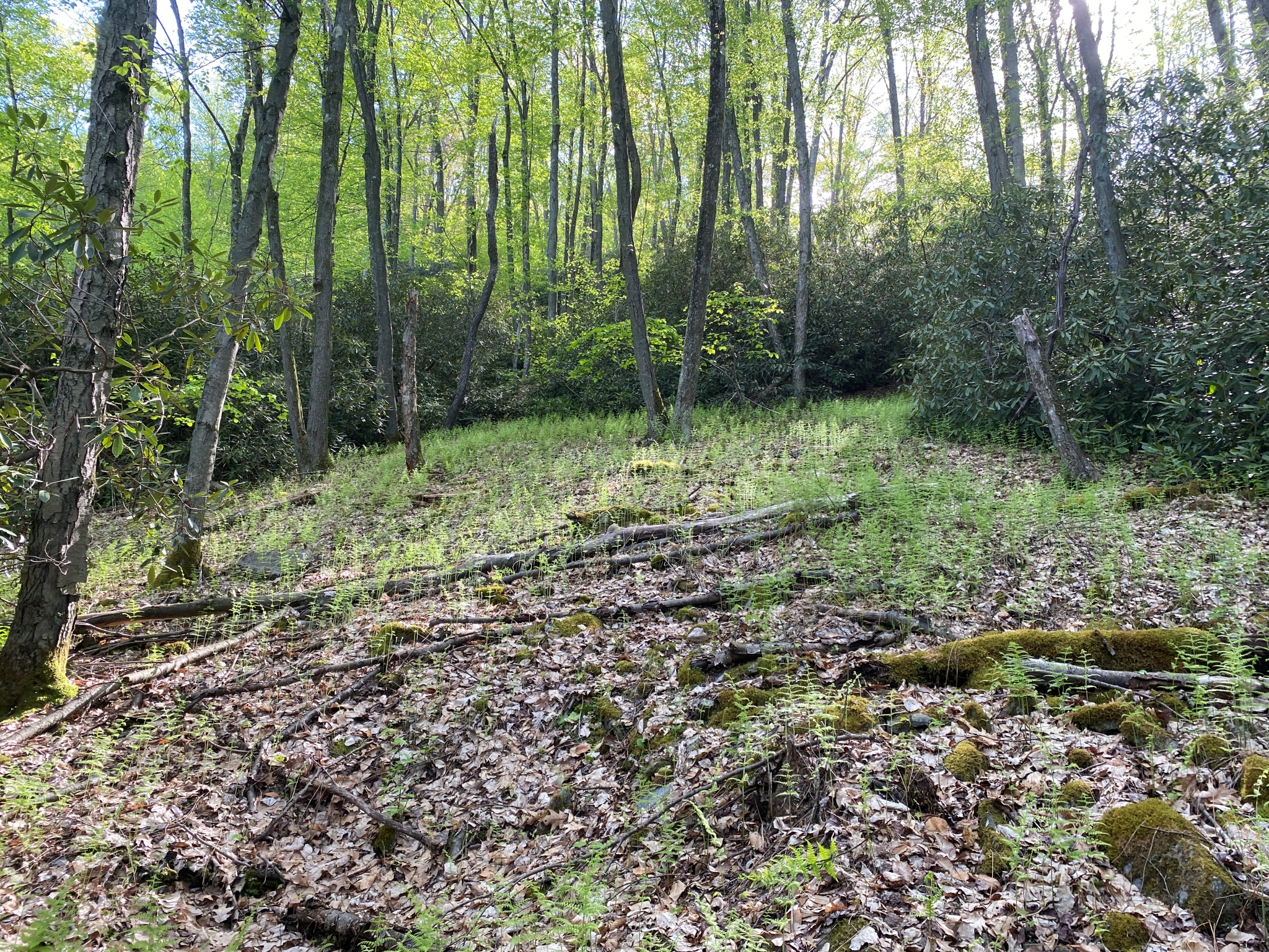 Listing Image 35