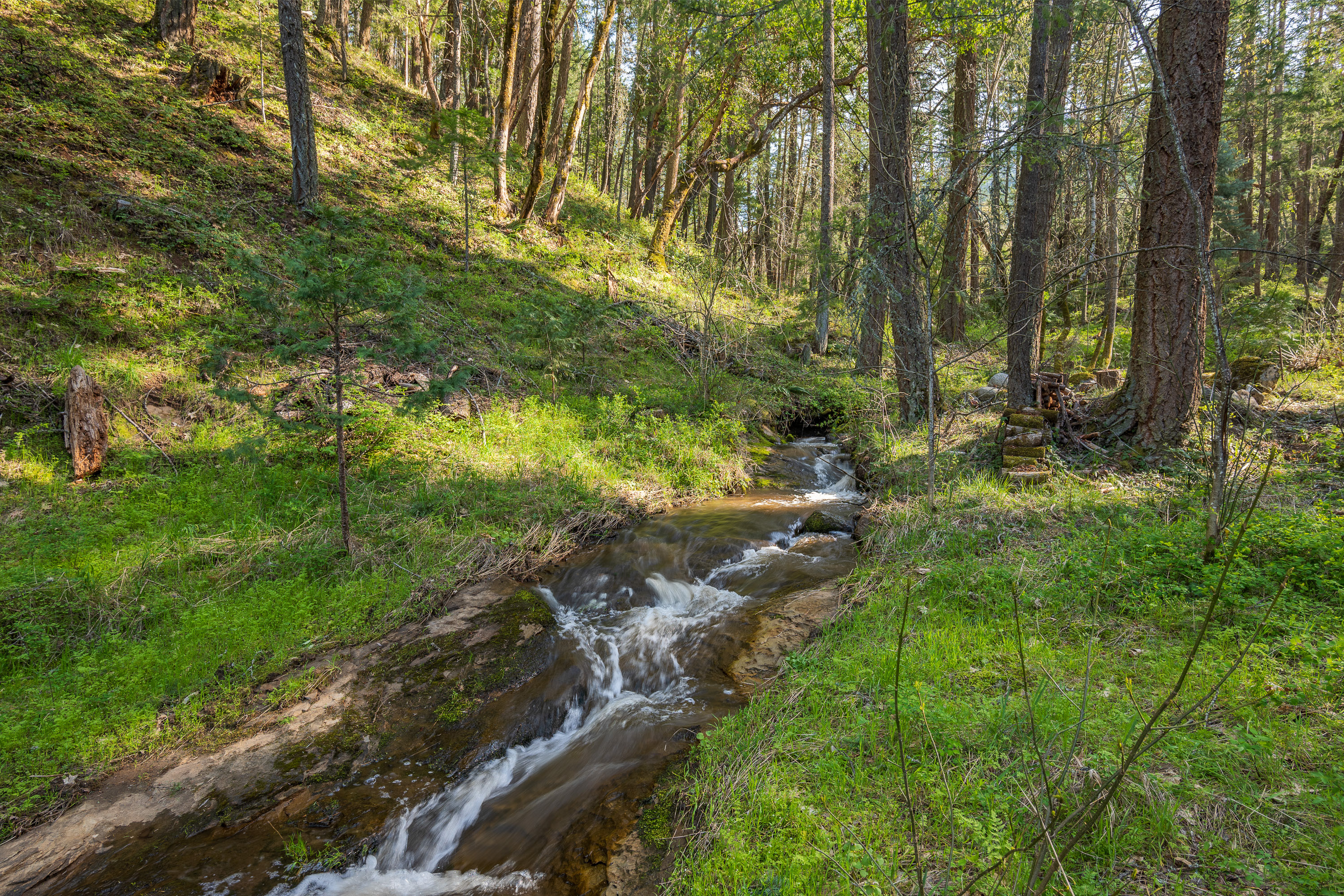1694 Old Siskiyou Hwy